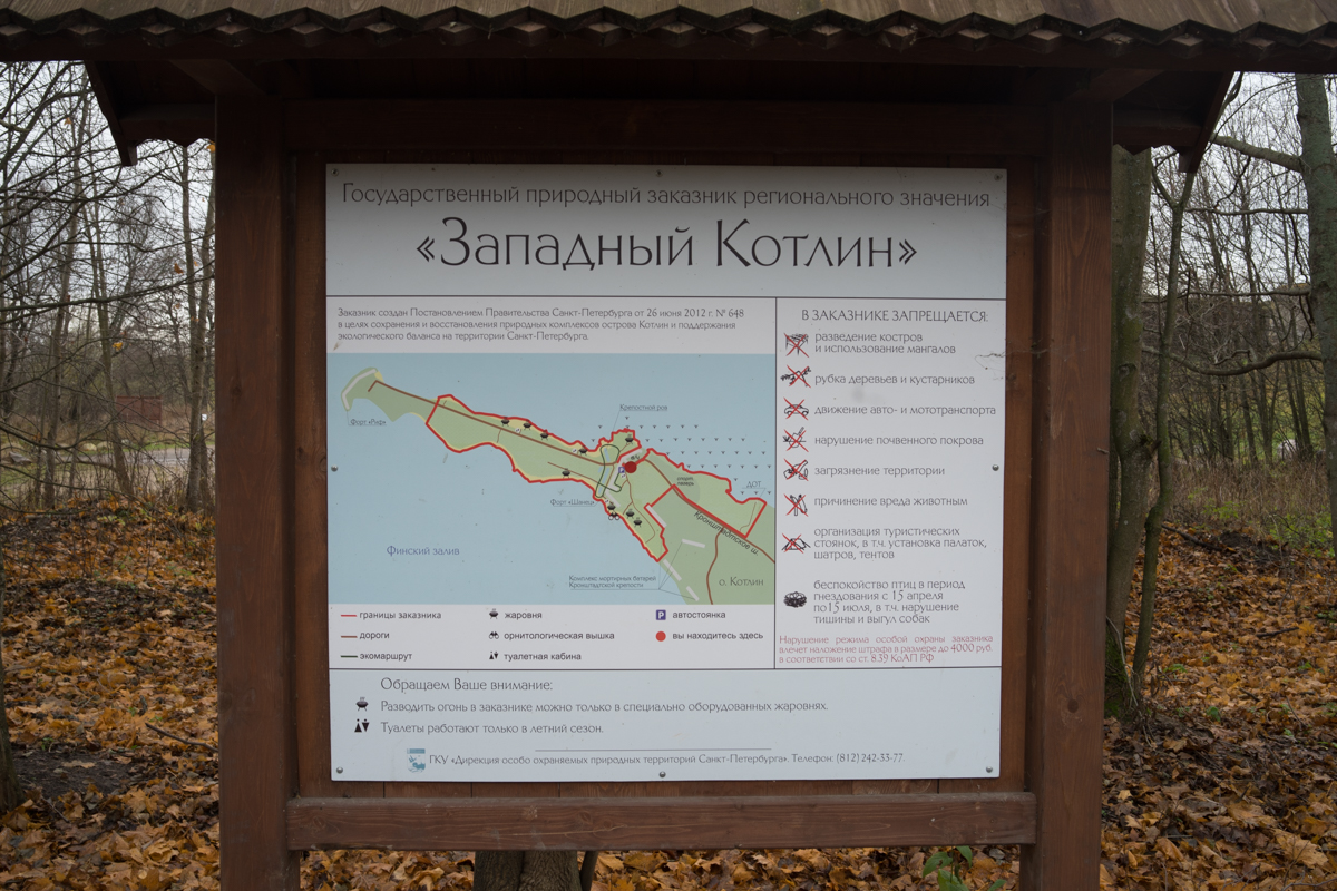 DSC06056.jpg