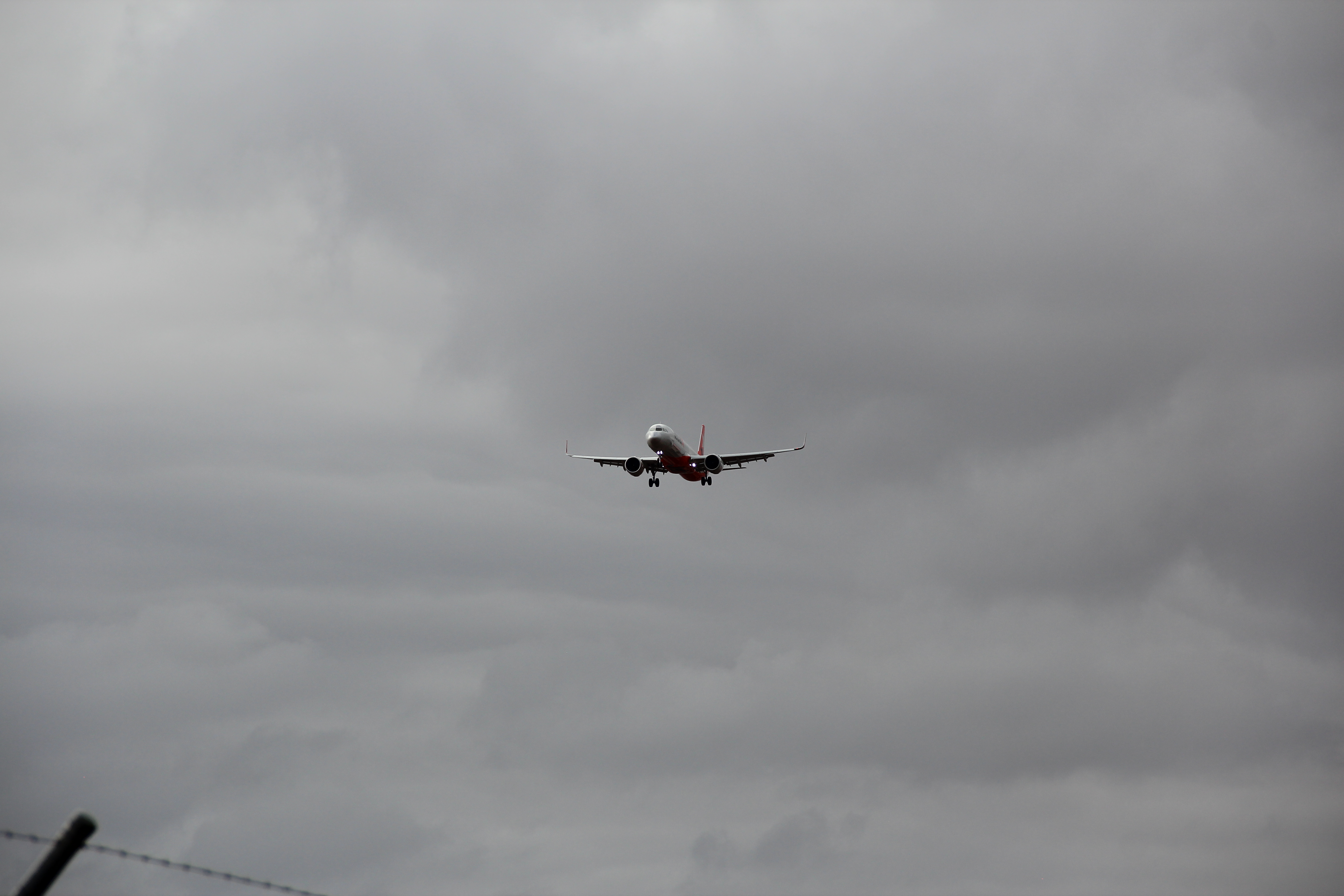 IMG_0771-1.JPG