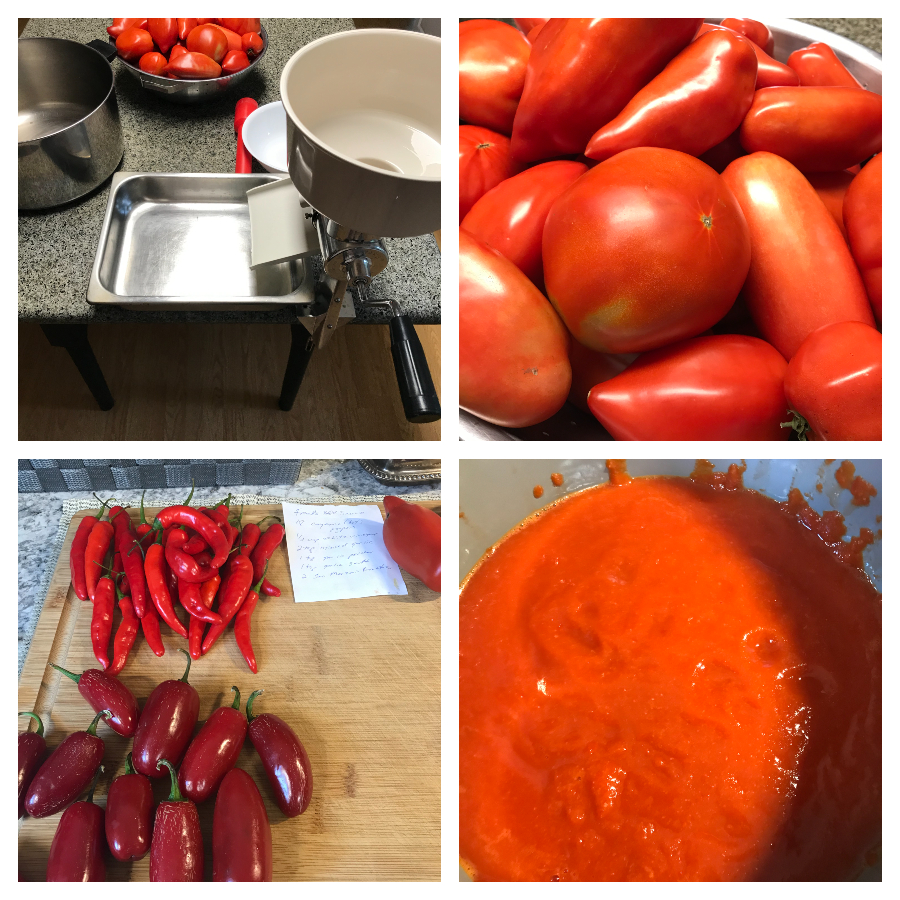 canning tomato sauce and pepper.jpg