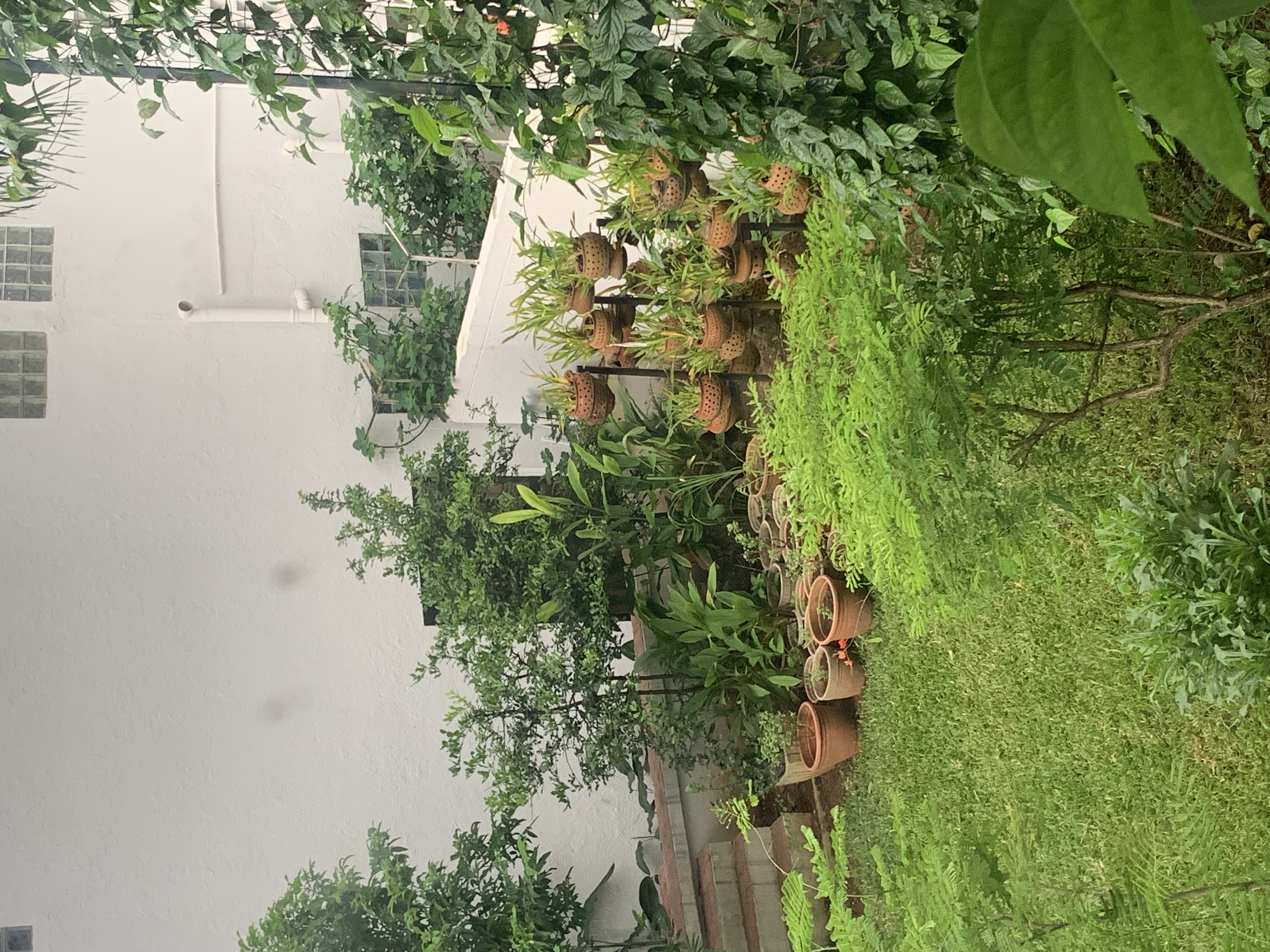 From Nature’s Calm to Gallery Walls: A Day of Visual Poetry
