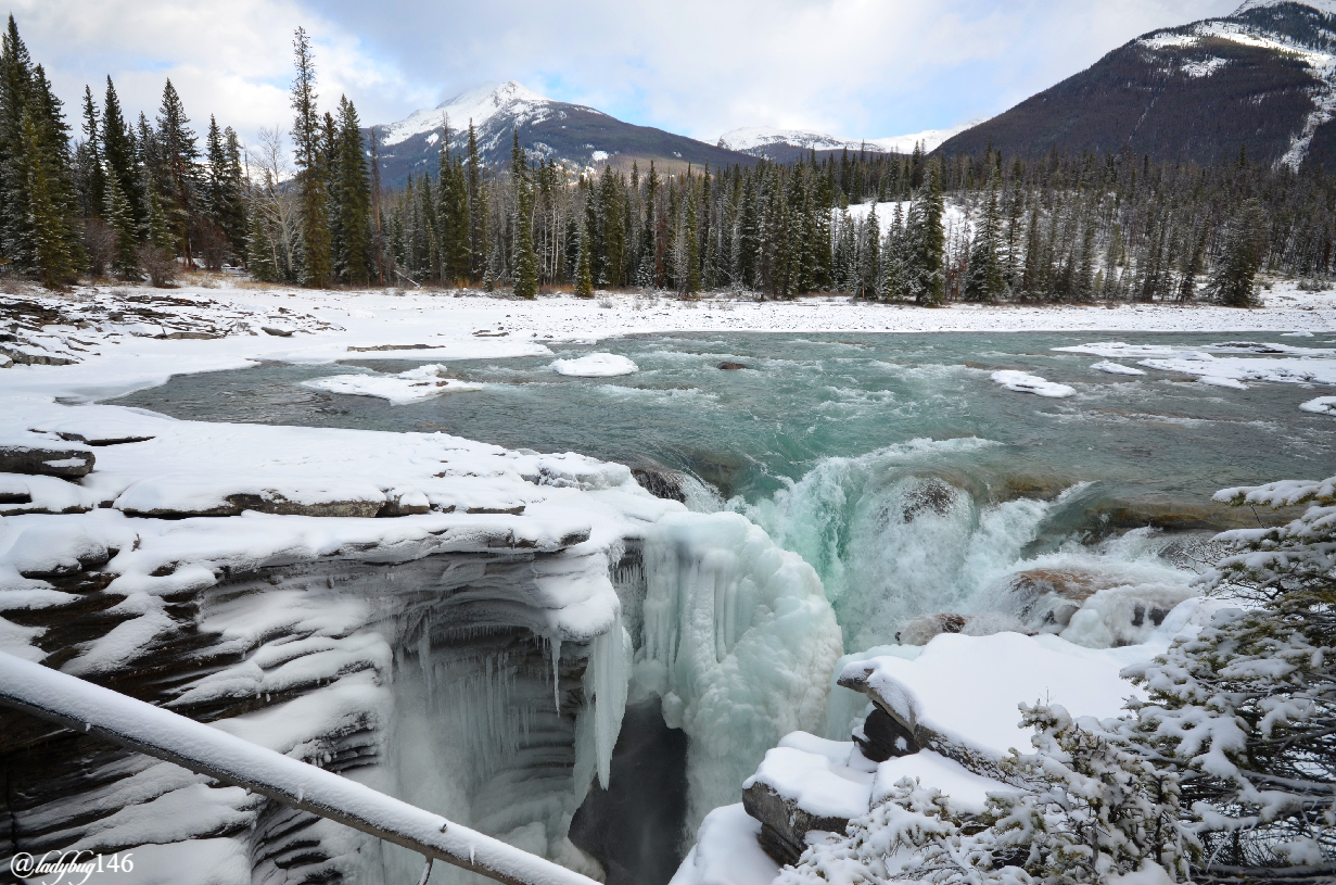 athabasca falls (3).jpg