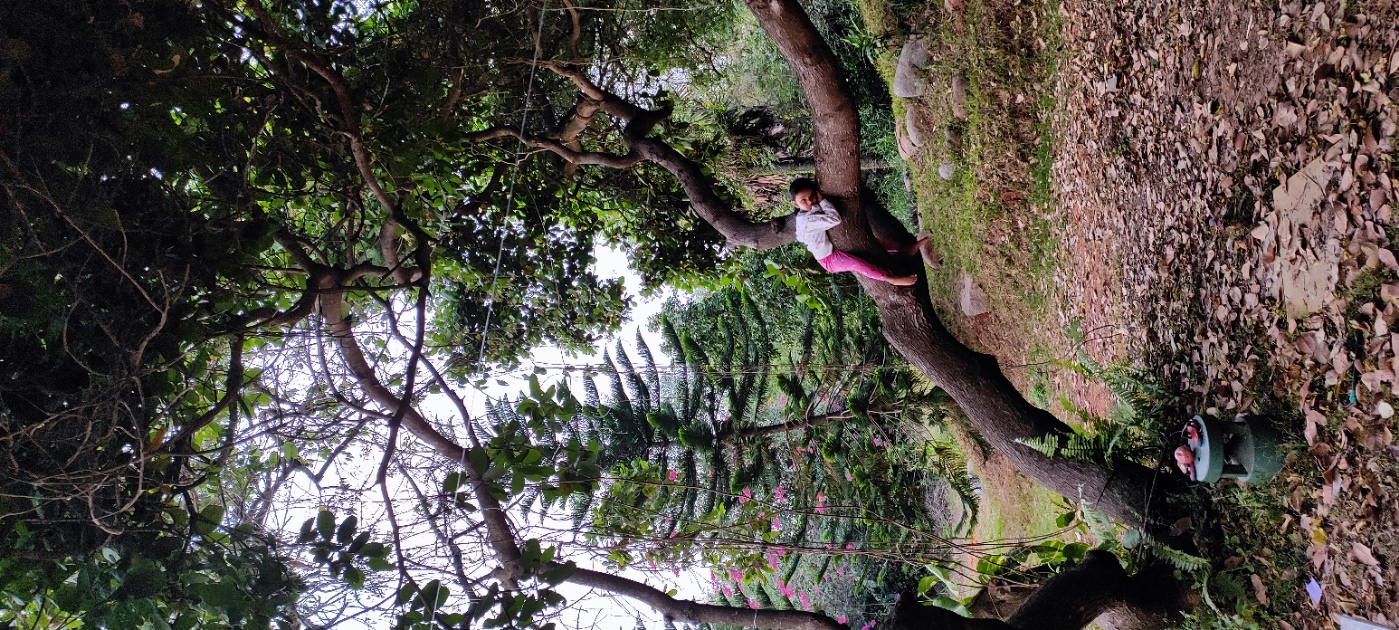 Shreeja Tree Climbing 2.jpg