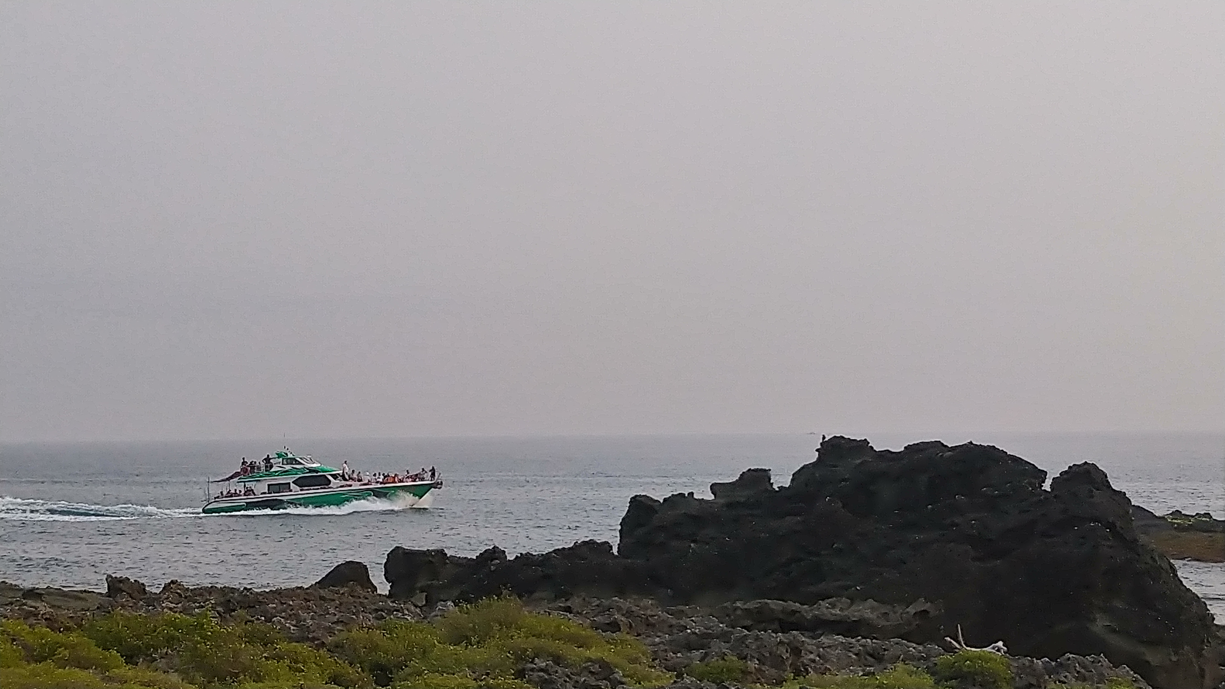 DSC_7966.JPG