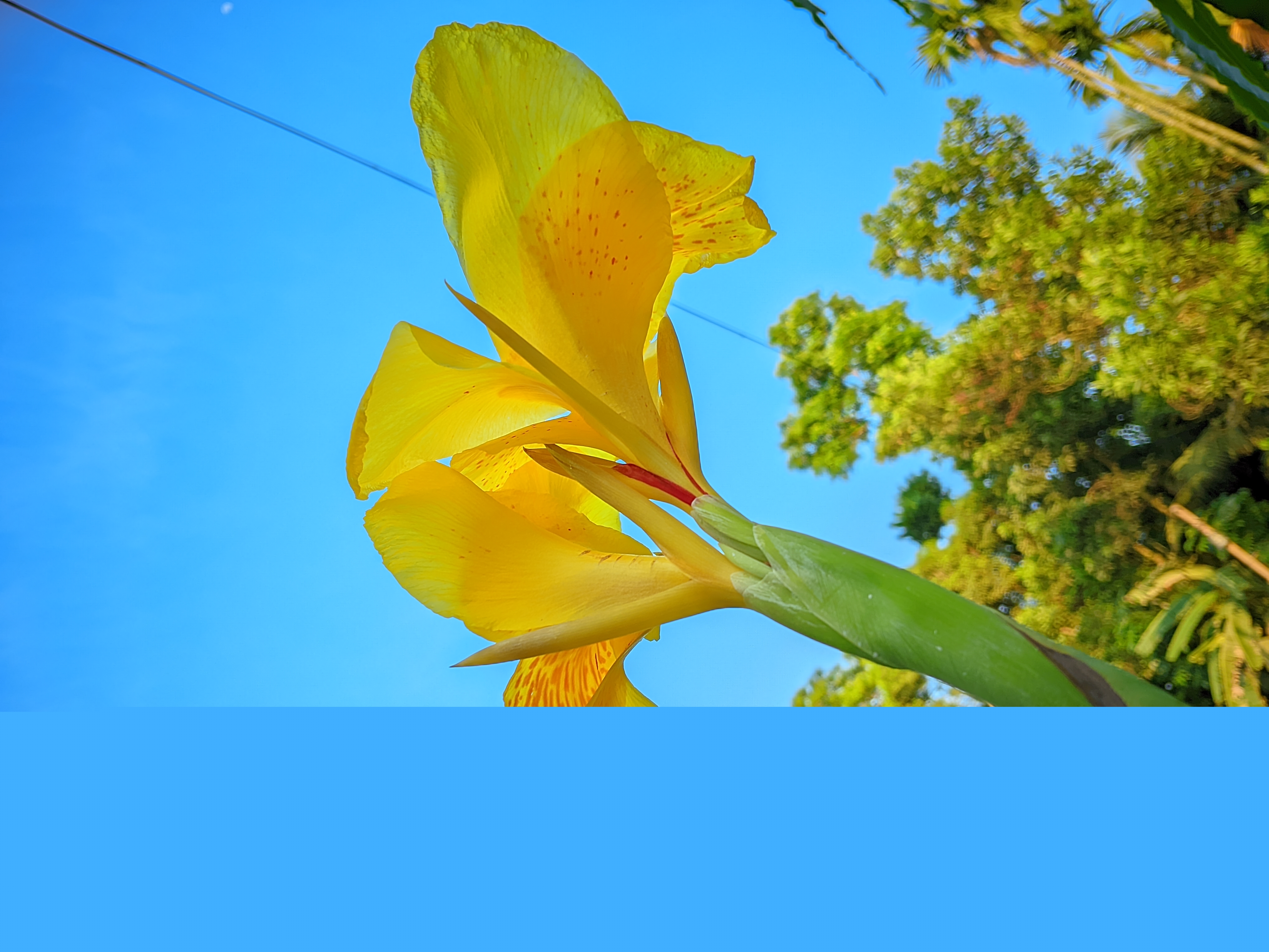 LMC_20250505_172405_🌈Color boost By Light Editz.jpg