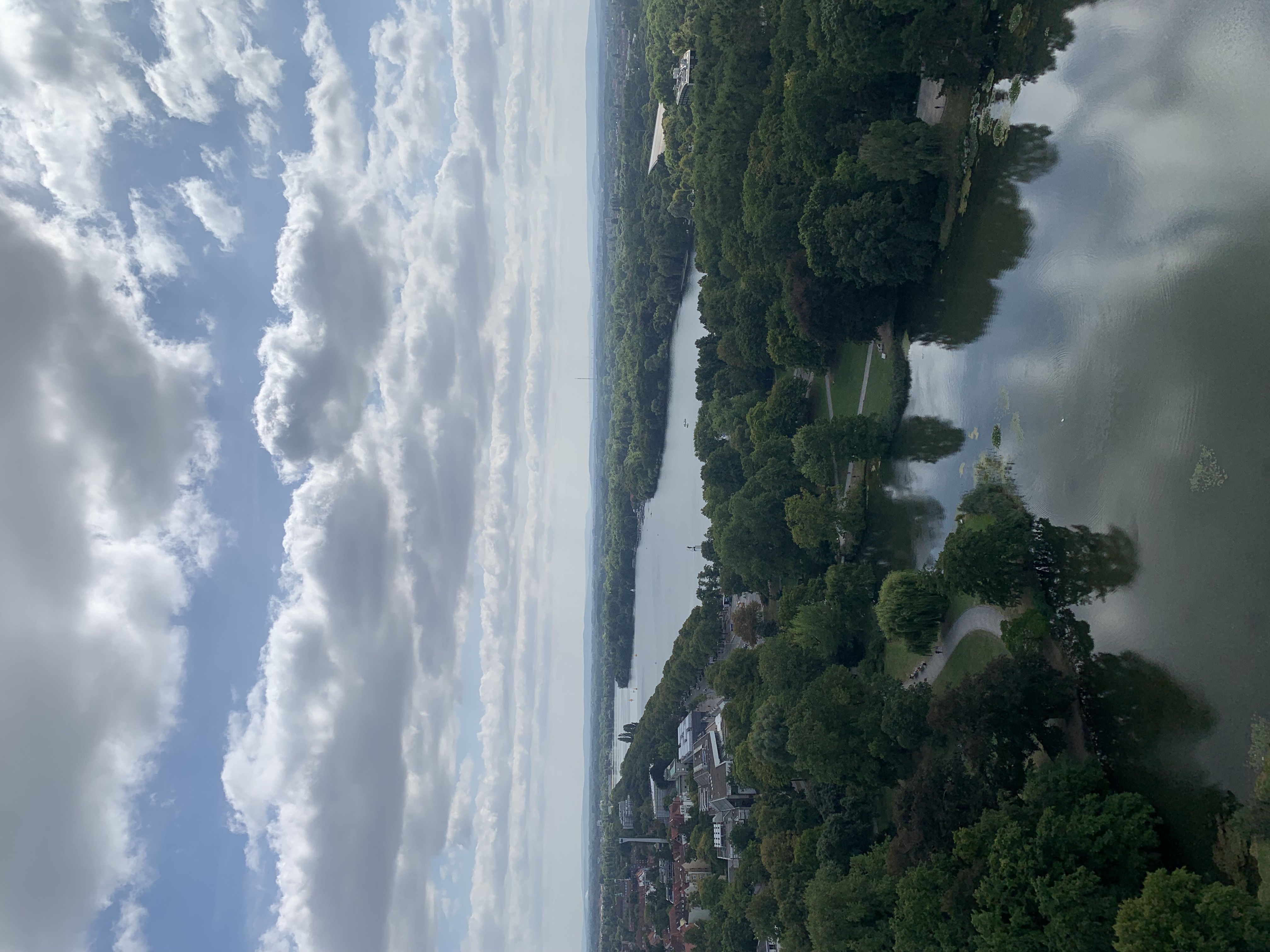 IMG_2218.jpeg