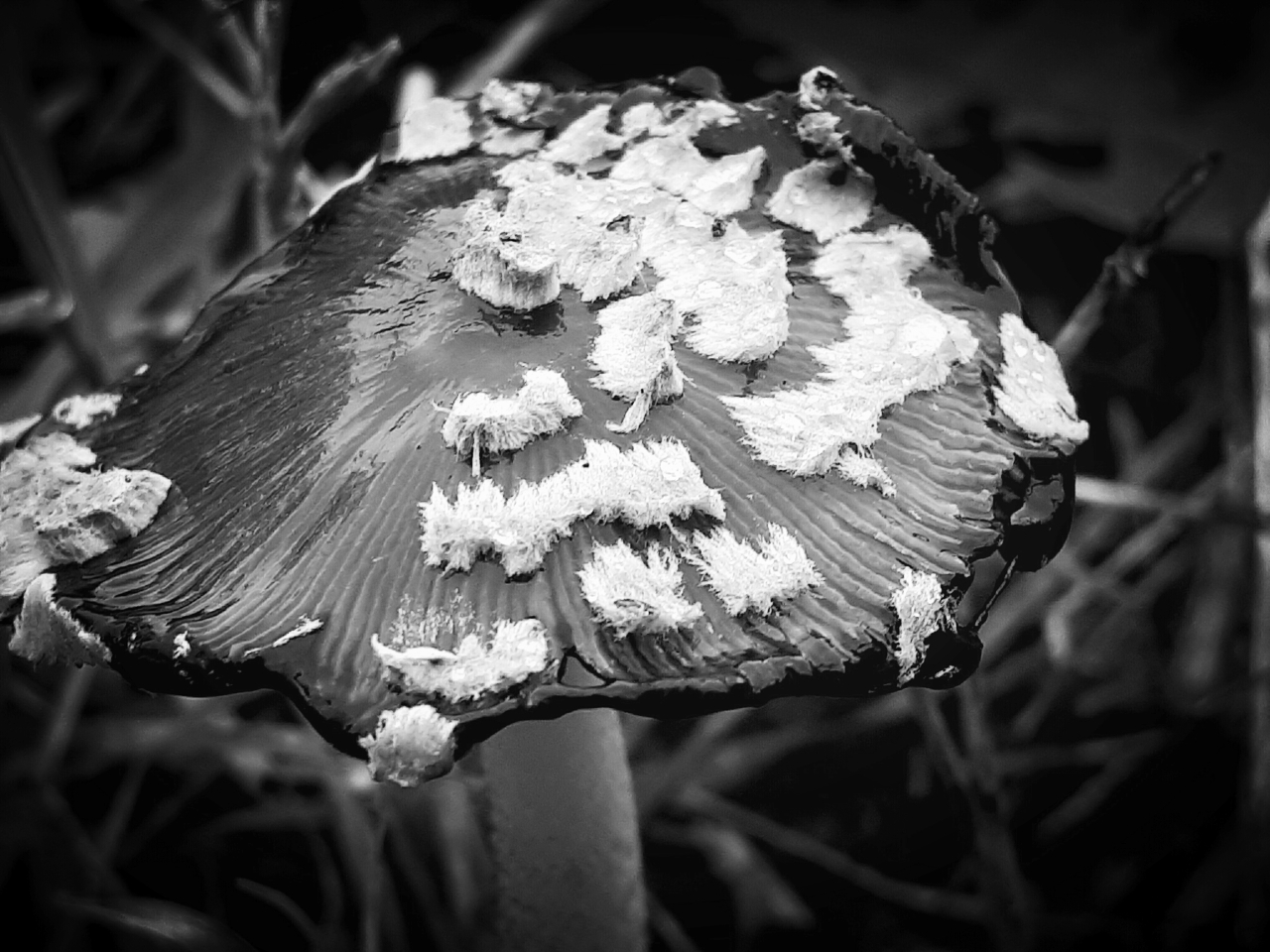 20201106_195937.jpg
