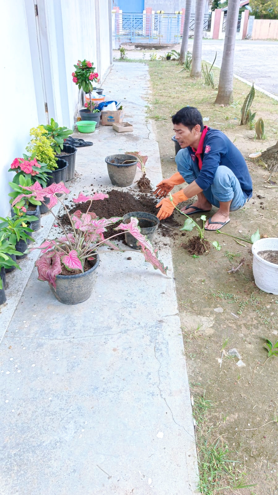 IMG_20230220_002857.jpg