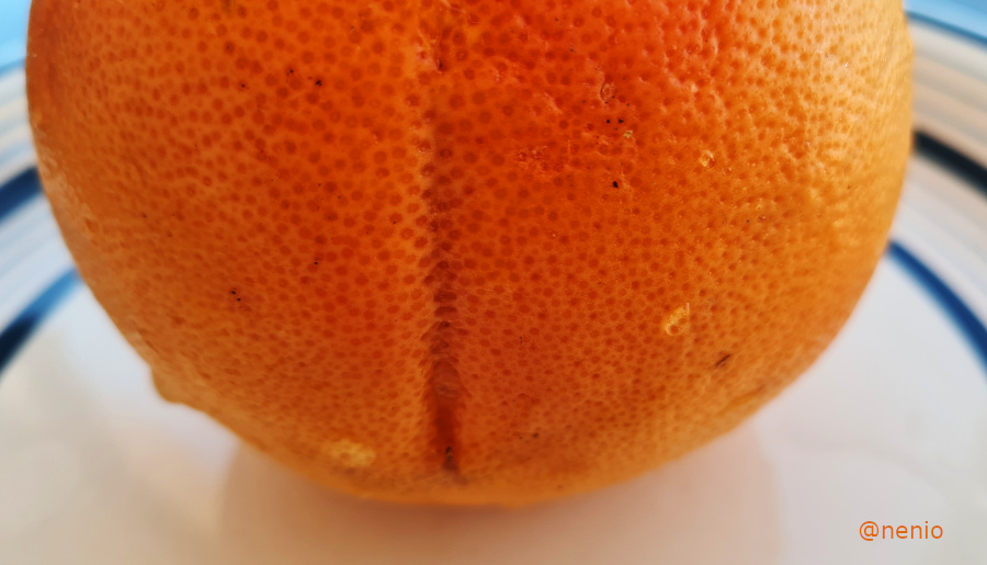 grapefruits-003.jpg