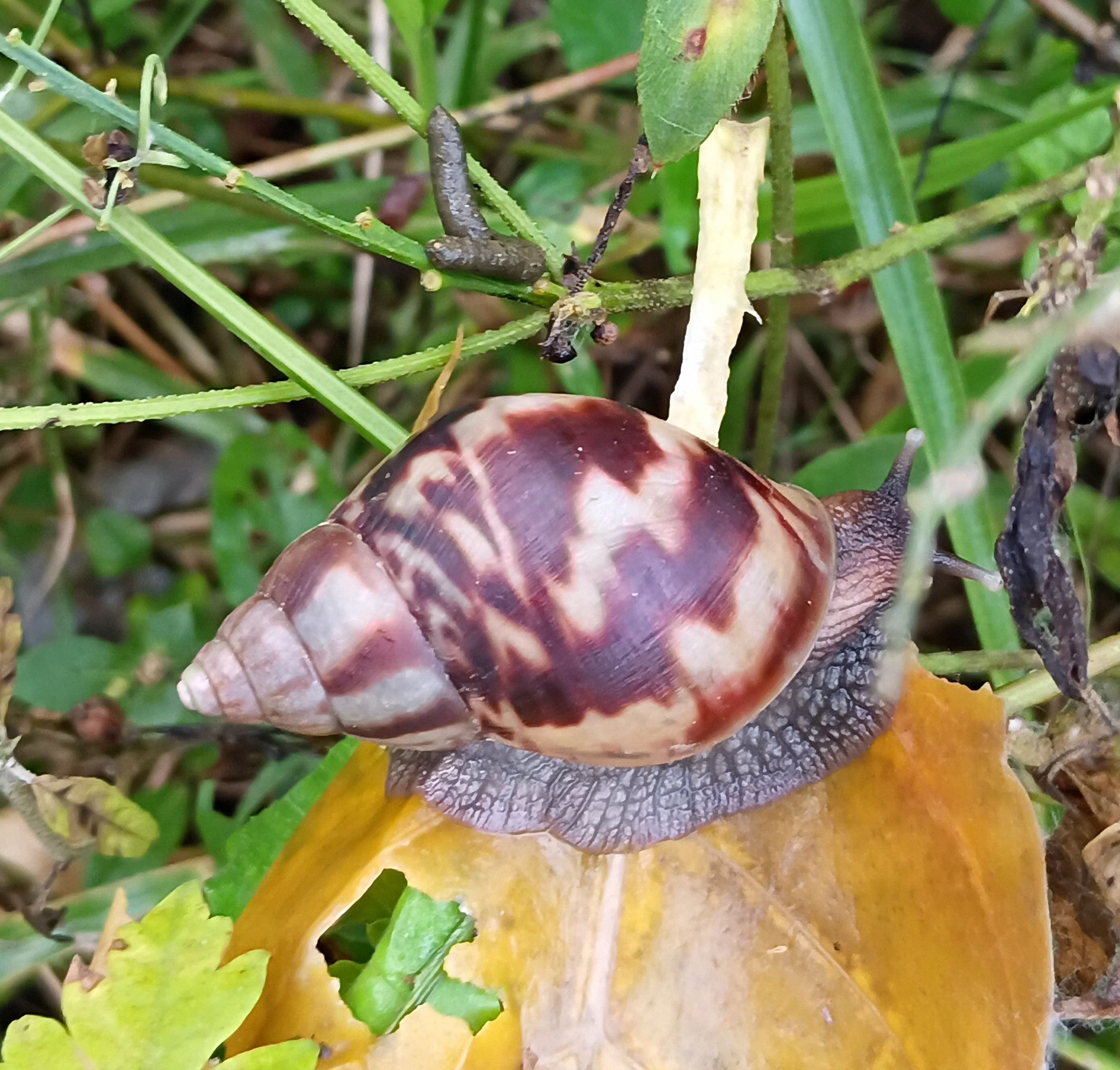 20250718_055351.jpg