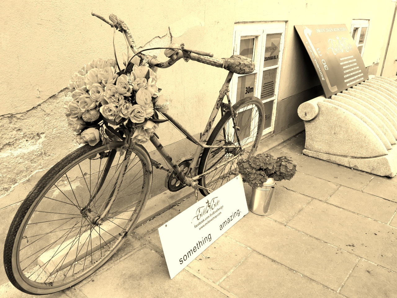 20190717_194056_s.jpg