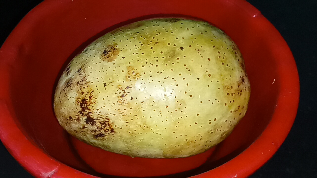 IMG20250818150458_01.jpg