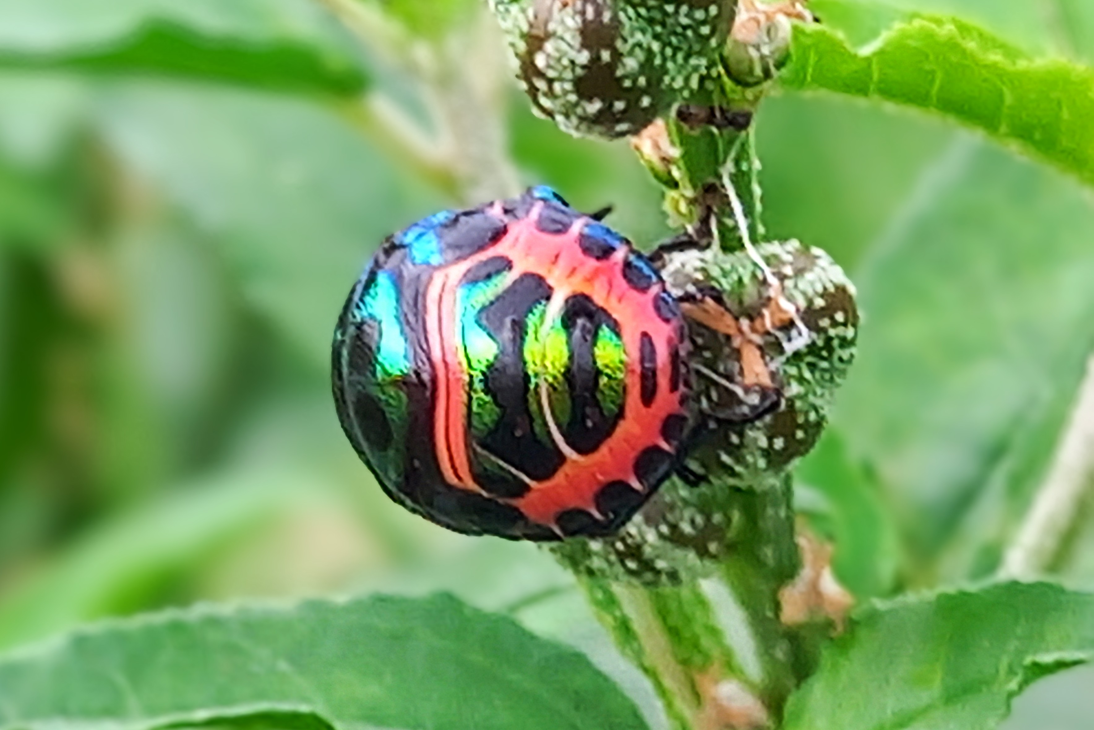 20250725_070857~2.jpg