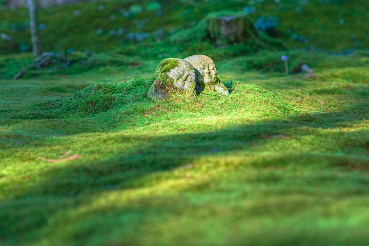 jizo-1976581__480.jpg