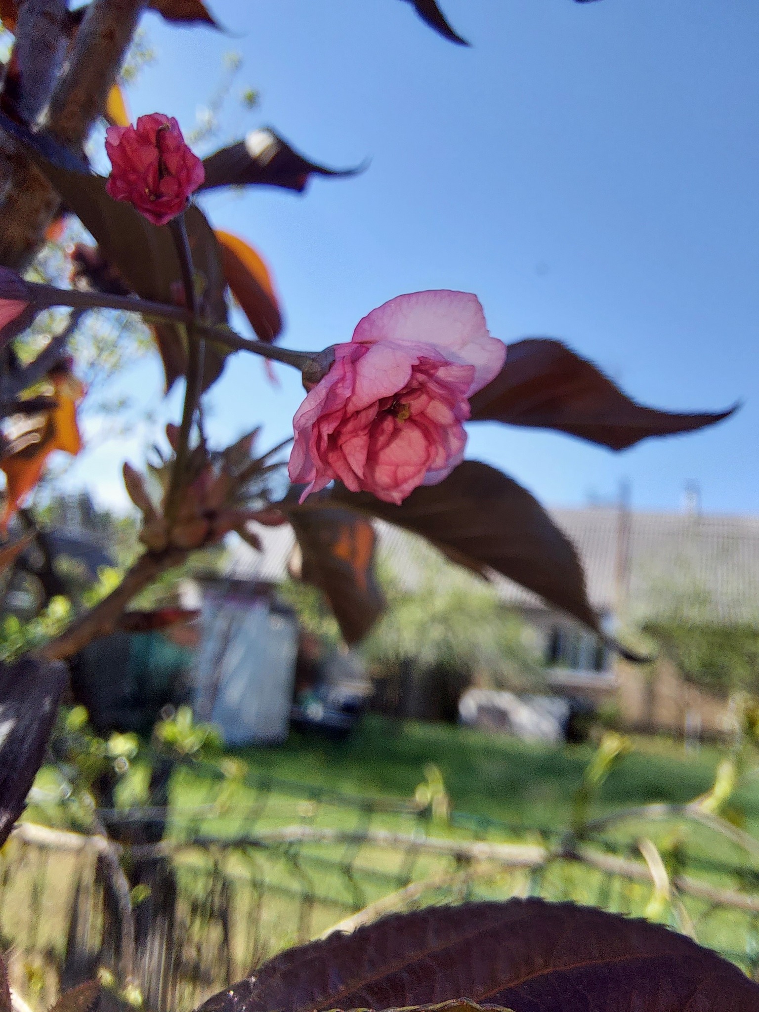 IMG_8891.jpeg