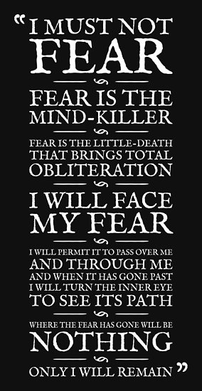 fear  mind killer.jpg