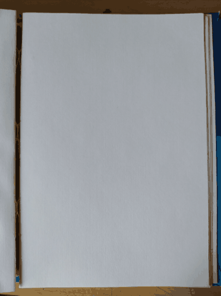 20220301_203444.gif