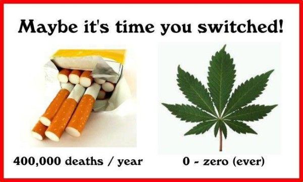 Tobacco Vs Marijuana Deaths Per Year.jpeg