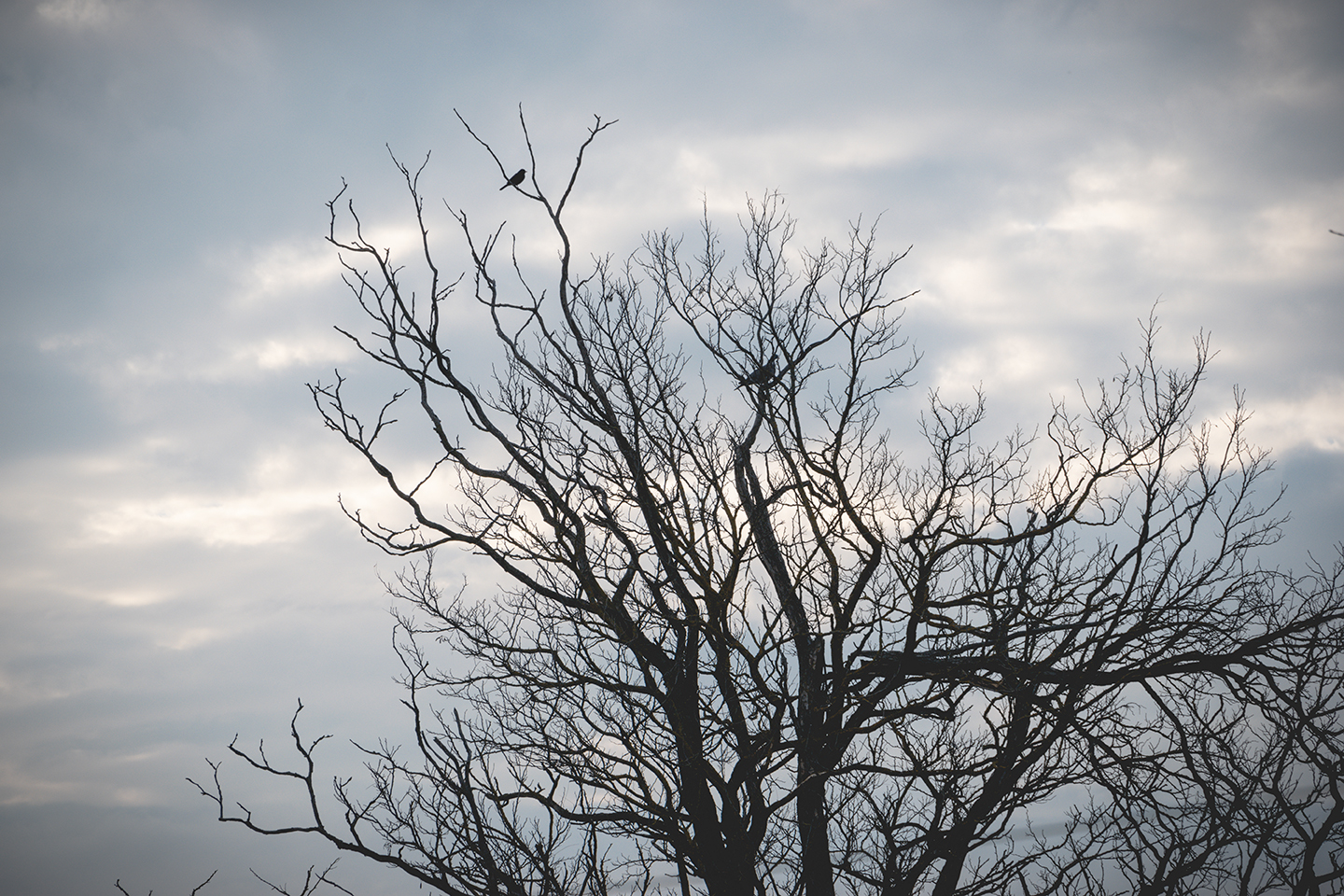  " "DSC_0325 copy.jpg""