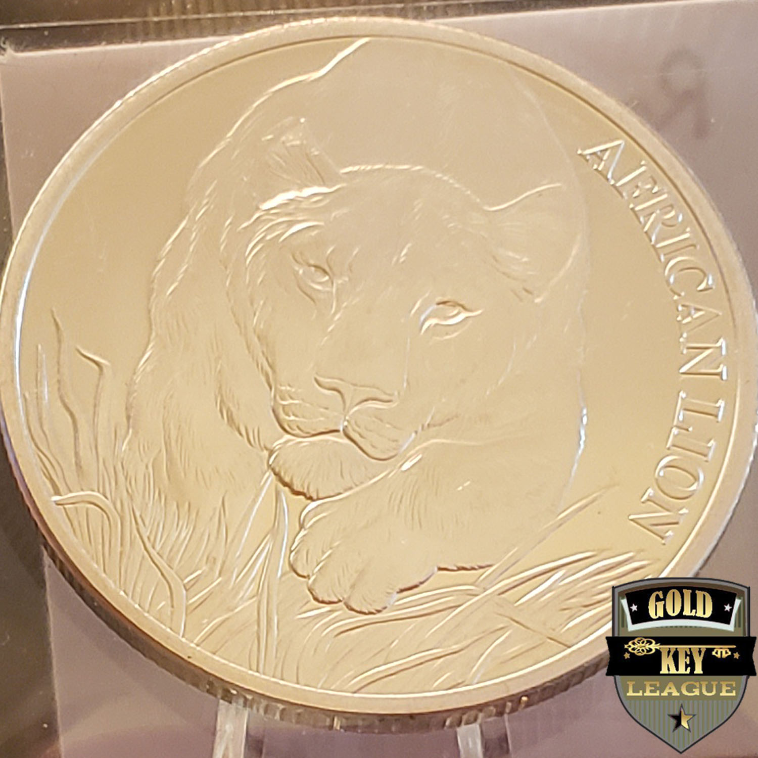 GK_PC_2017_AfricanLion_SILVERCOIN_APX_VER01_03.jpg