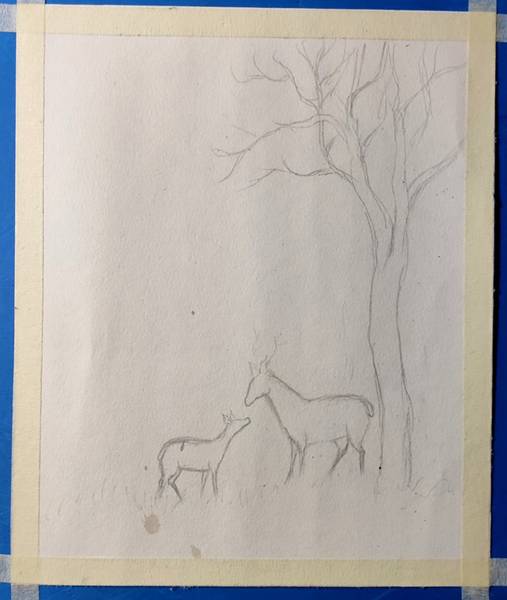 Buck Deer Drawing by Li Mei - Fine Art America