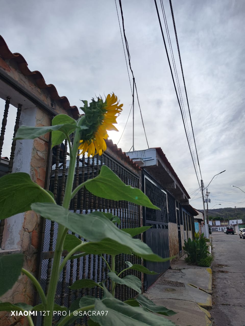 Sin título-3.jpg