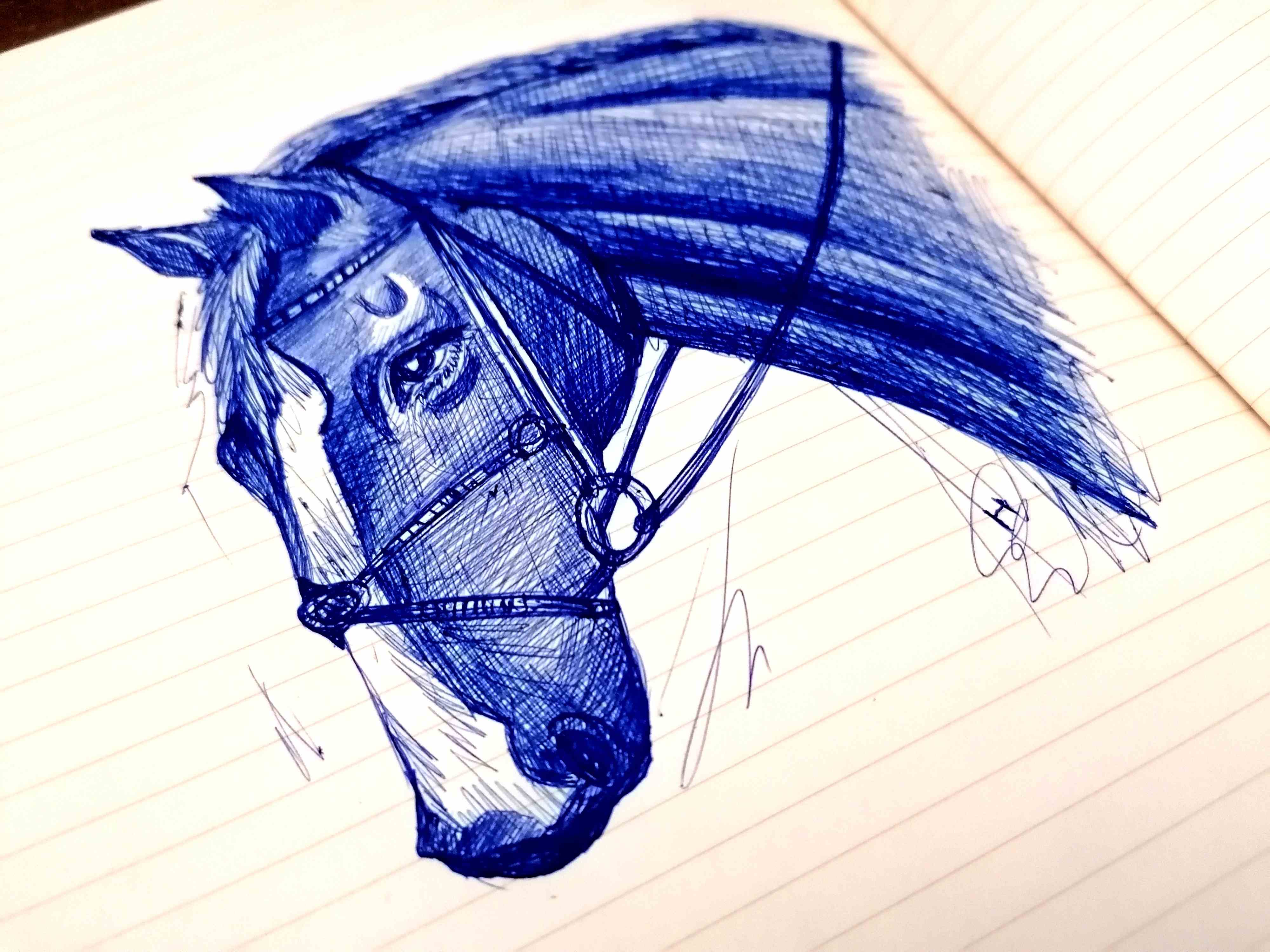 987873546762702641.jpg