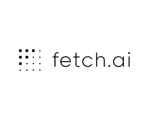 fetch-1.jpg