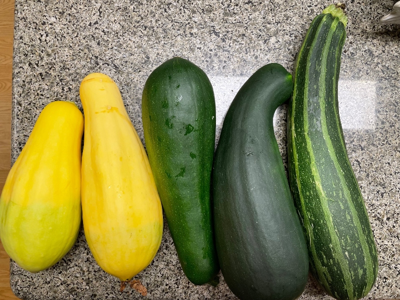 bread-lemon-zucchini-.jpg