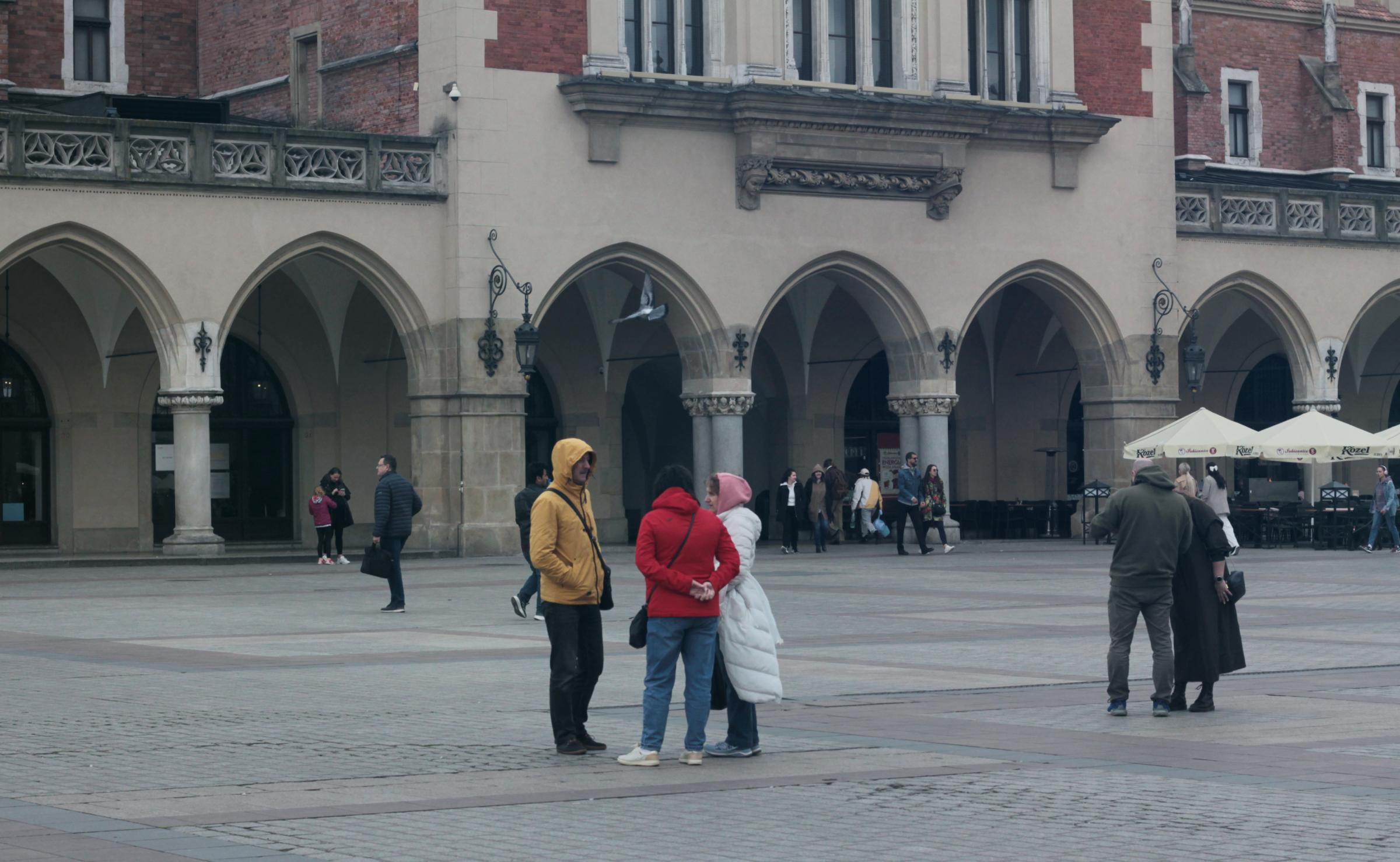 IMG_7175-crop.JPG