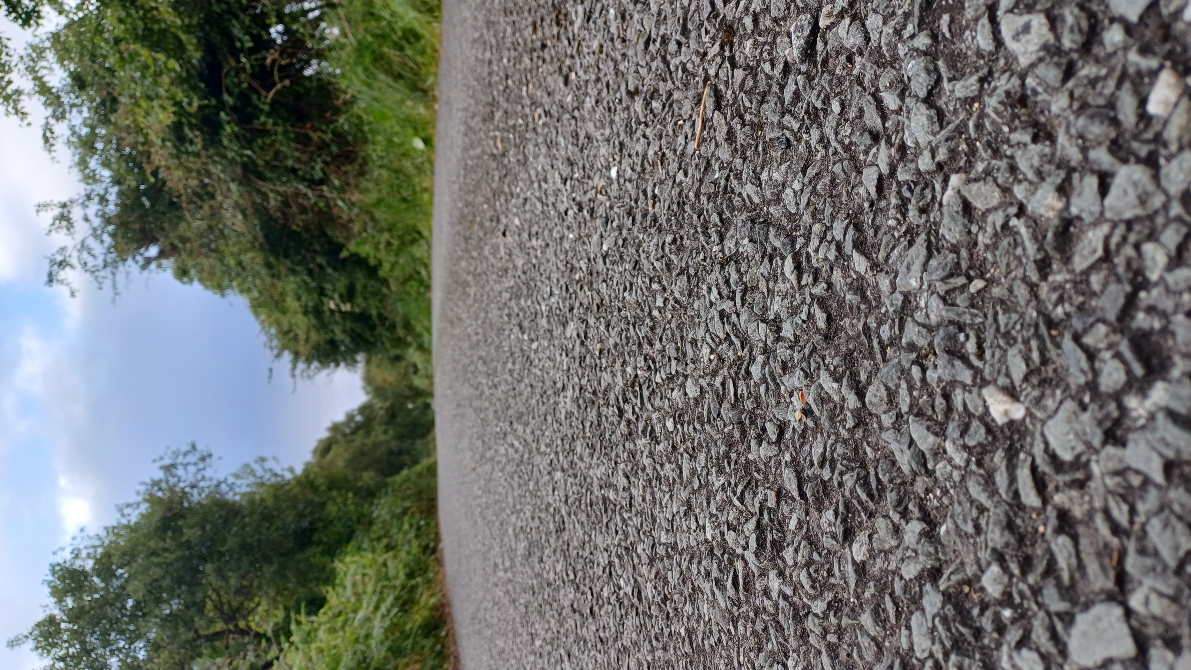 IMG-20250729-WA0043.jpeg
