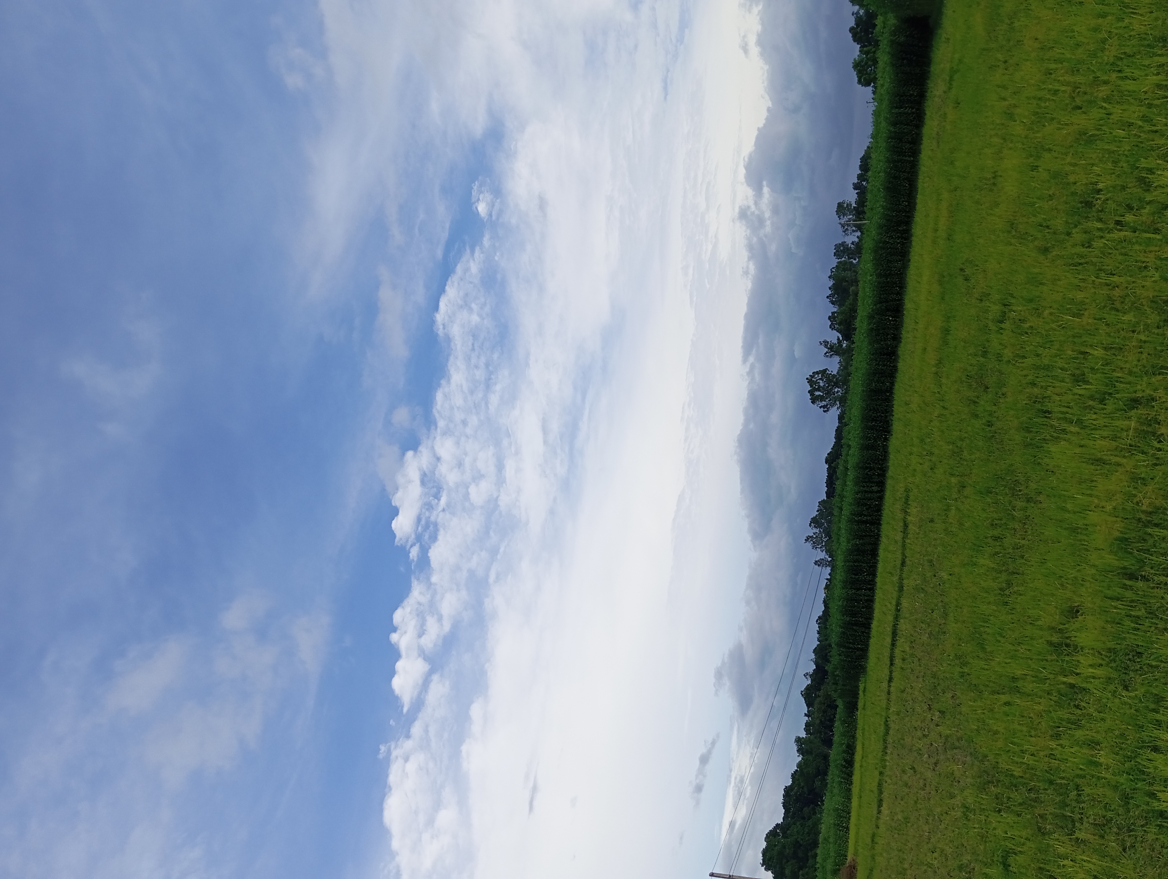 IMG_20250725_163900.jpg