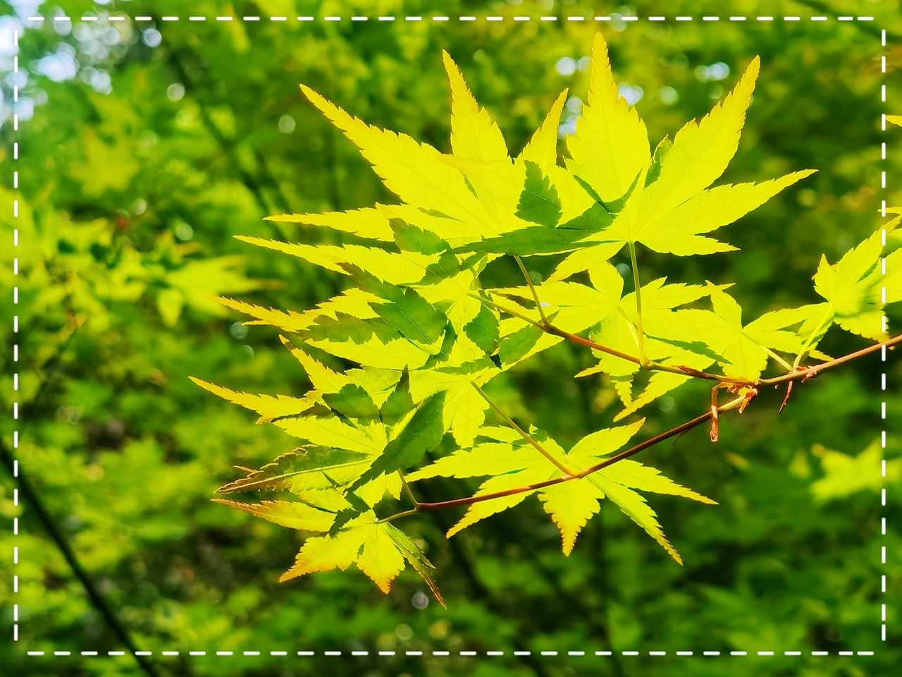 70C76816-051E-4769-A69A-07617B5D1F6E.jpeg