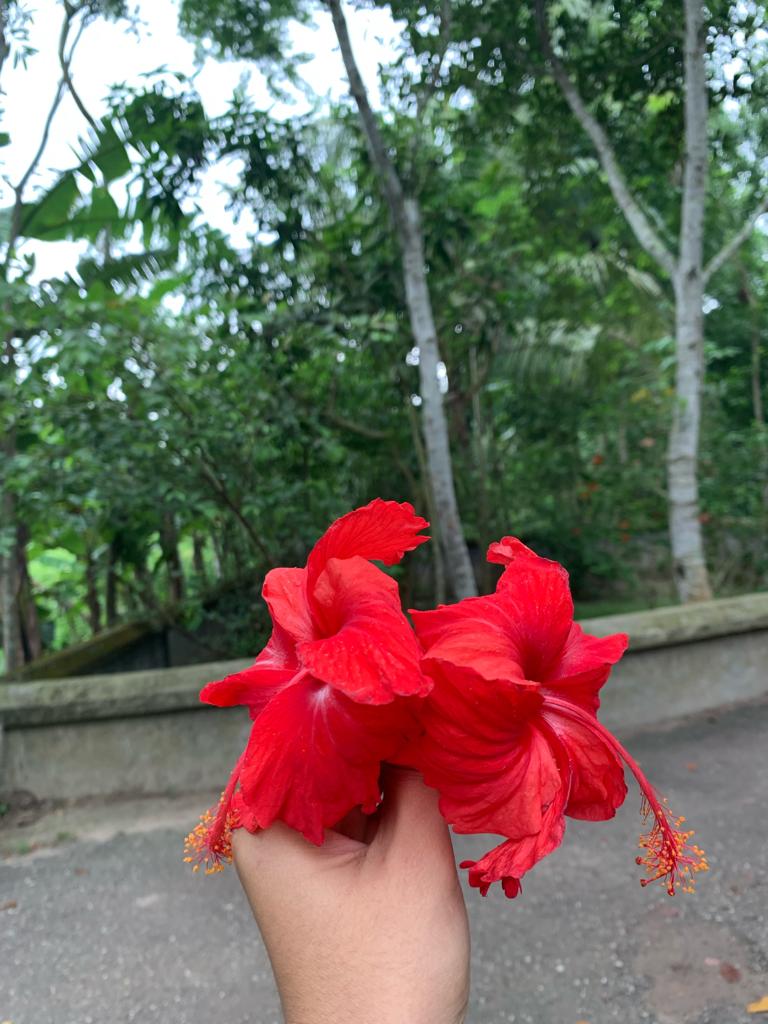 N9.jpg