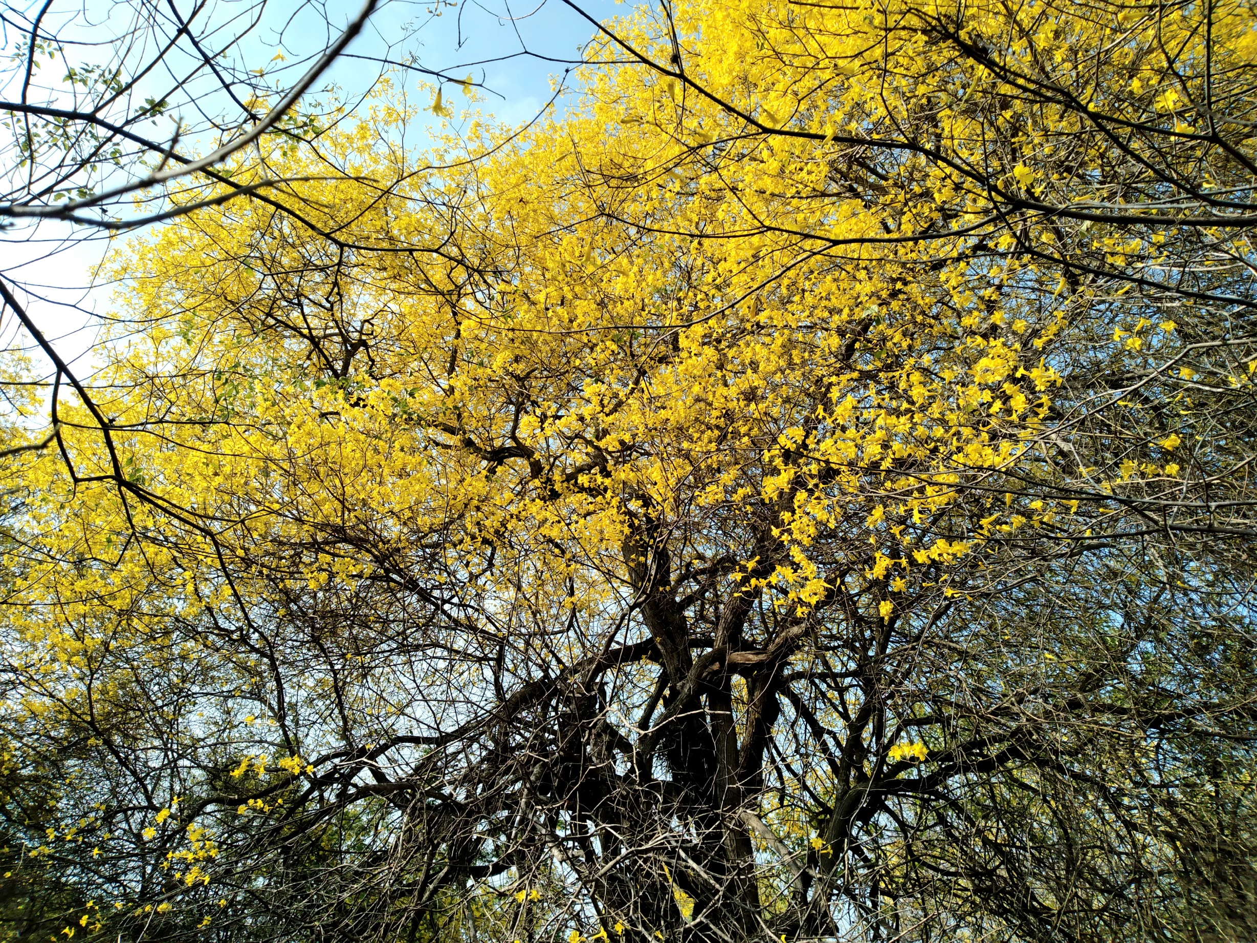 20250321_090129.jpg