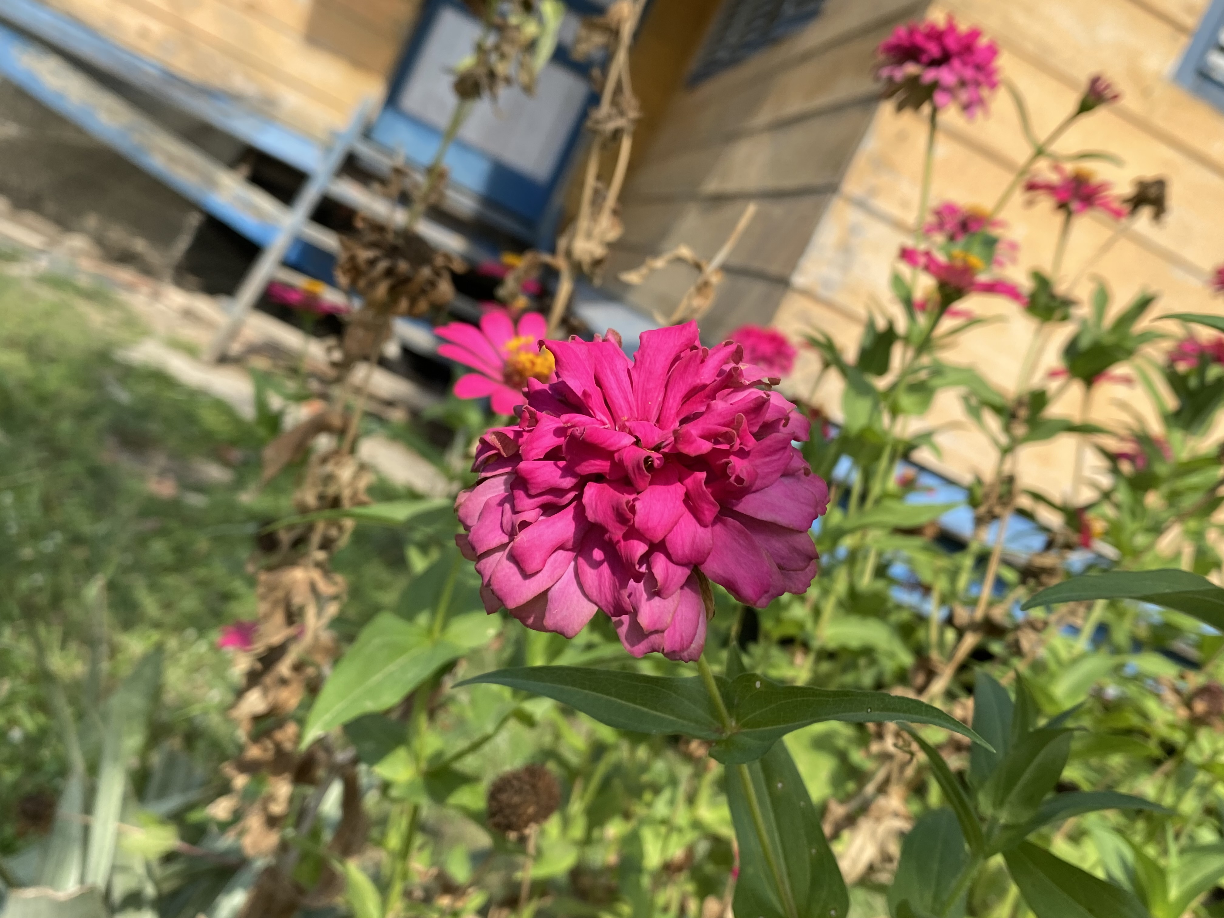 IMG_3582.jpeg