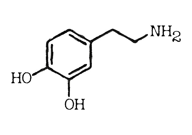 dopamine-g856f47159_640.jpeg