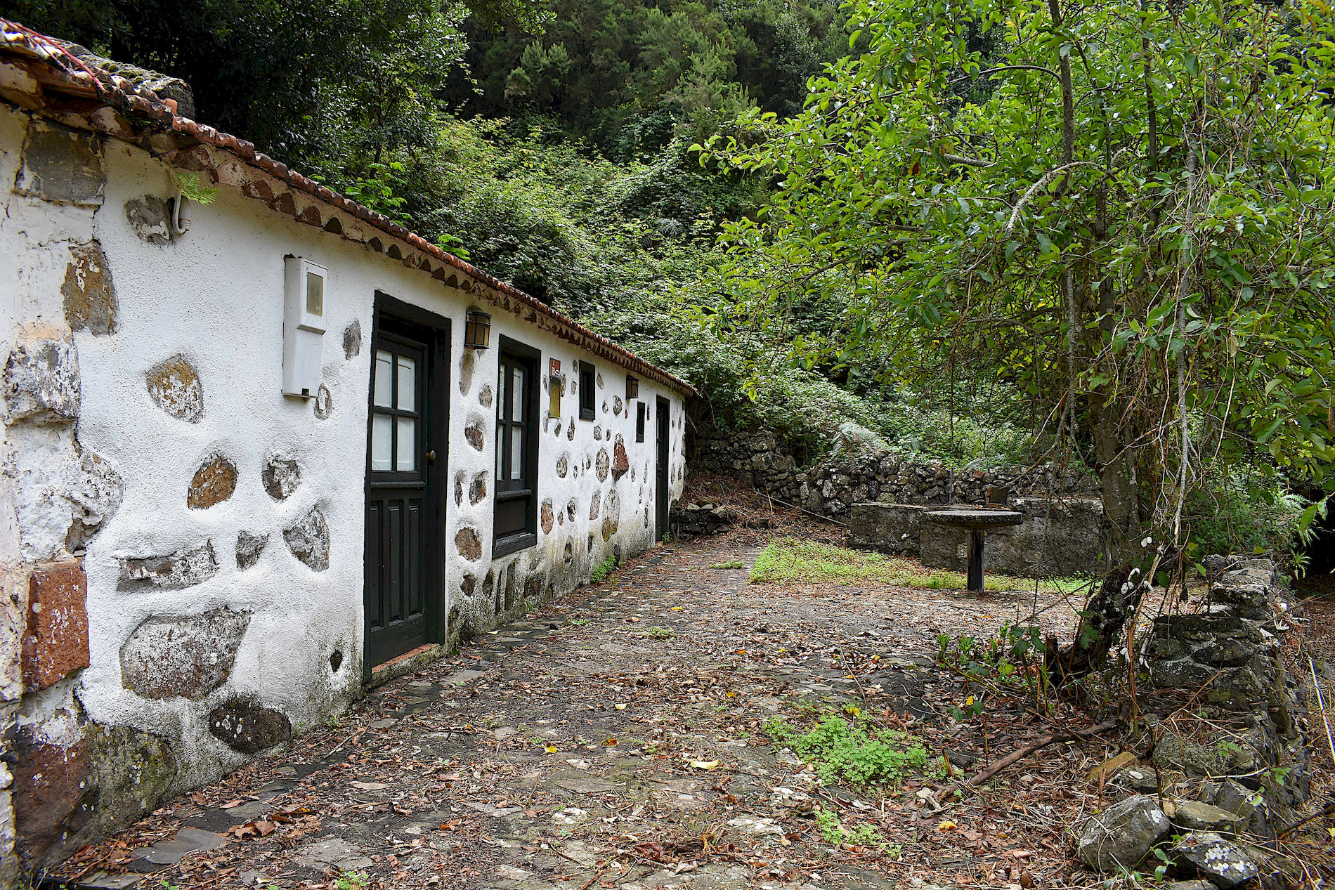 La-Gomera-45.jpg