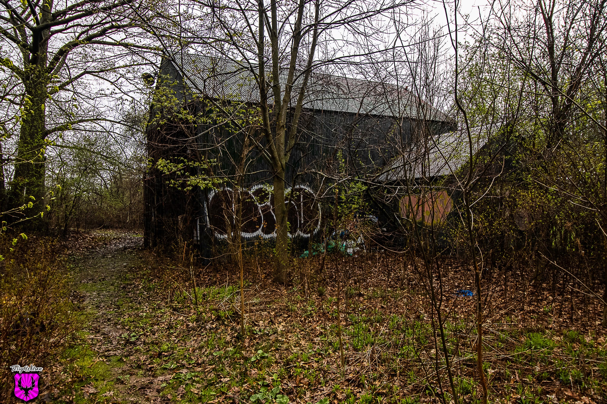 eb12af48-bc63-4311-bb25-8cf26e867623.jpg