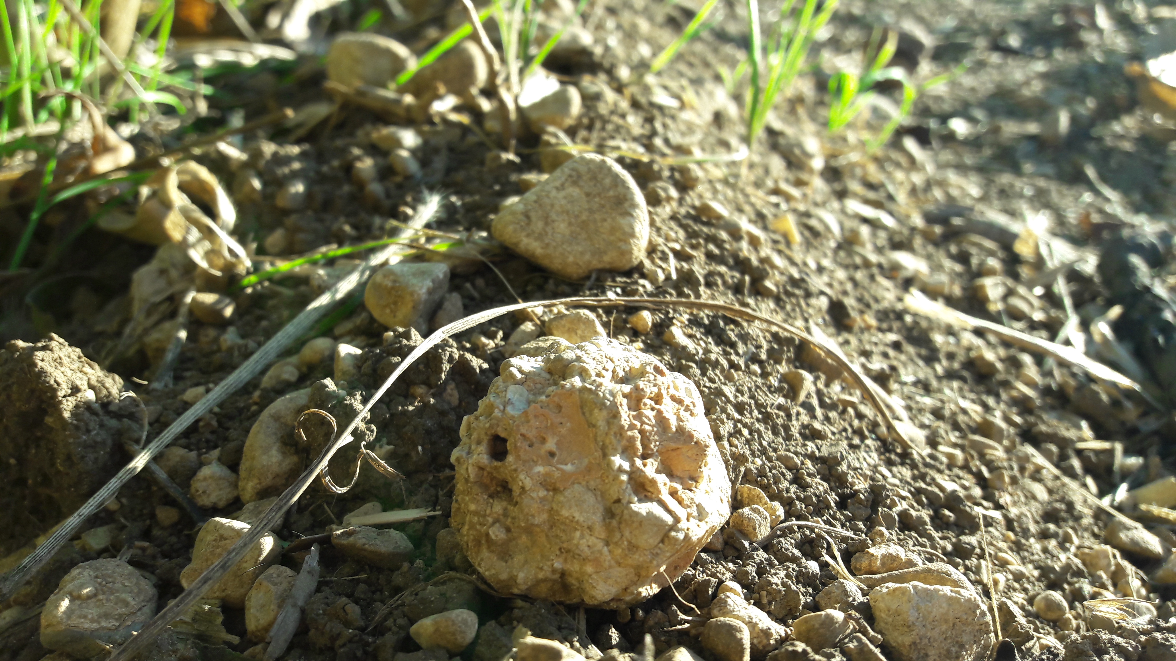 Grounds-Rock-Publicdomain (36).jpg