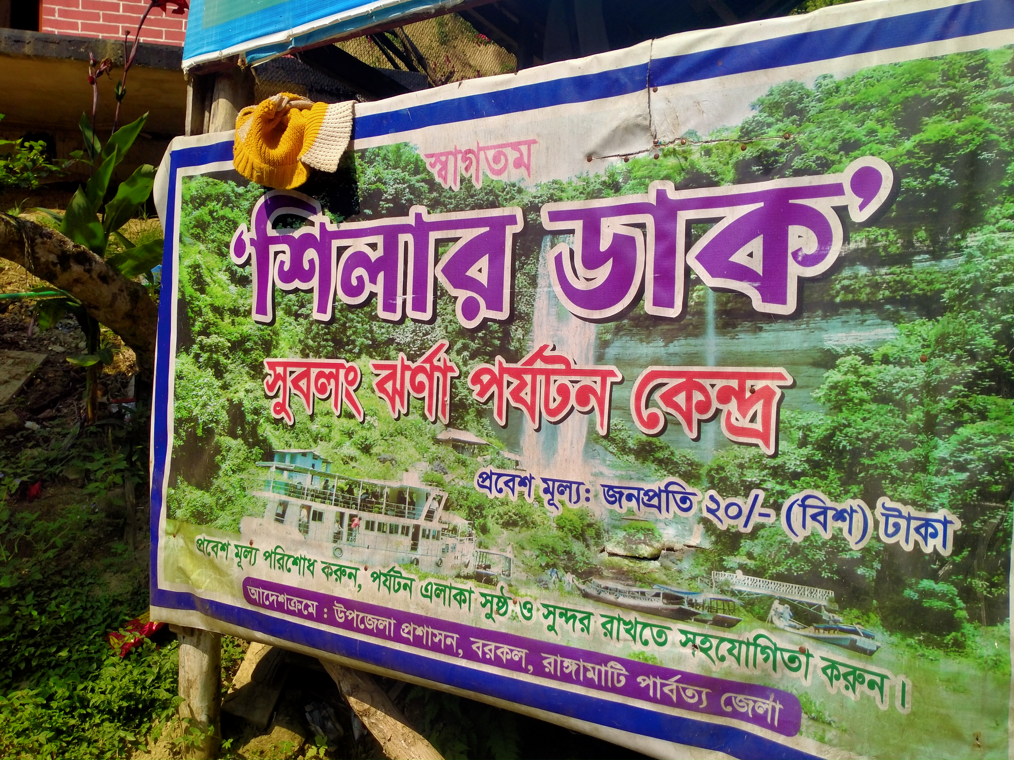 IMG20241122113836.jpg
