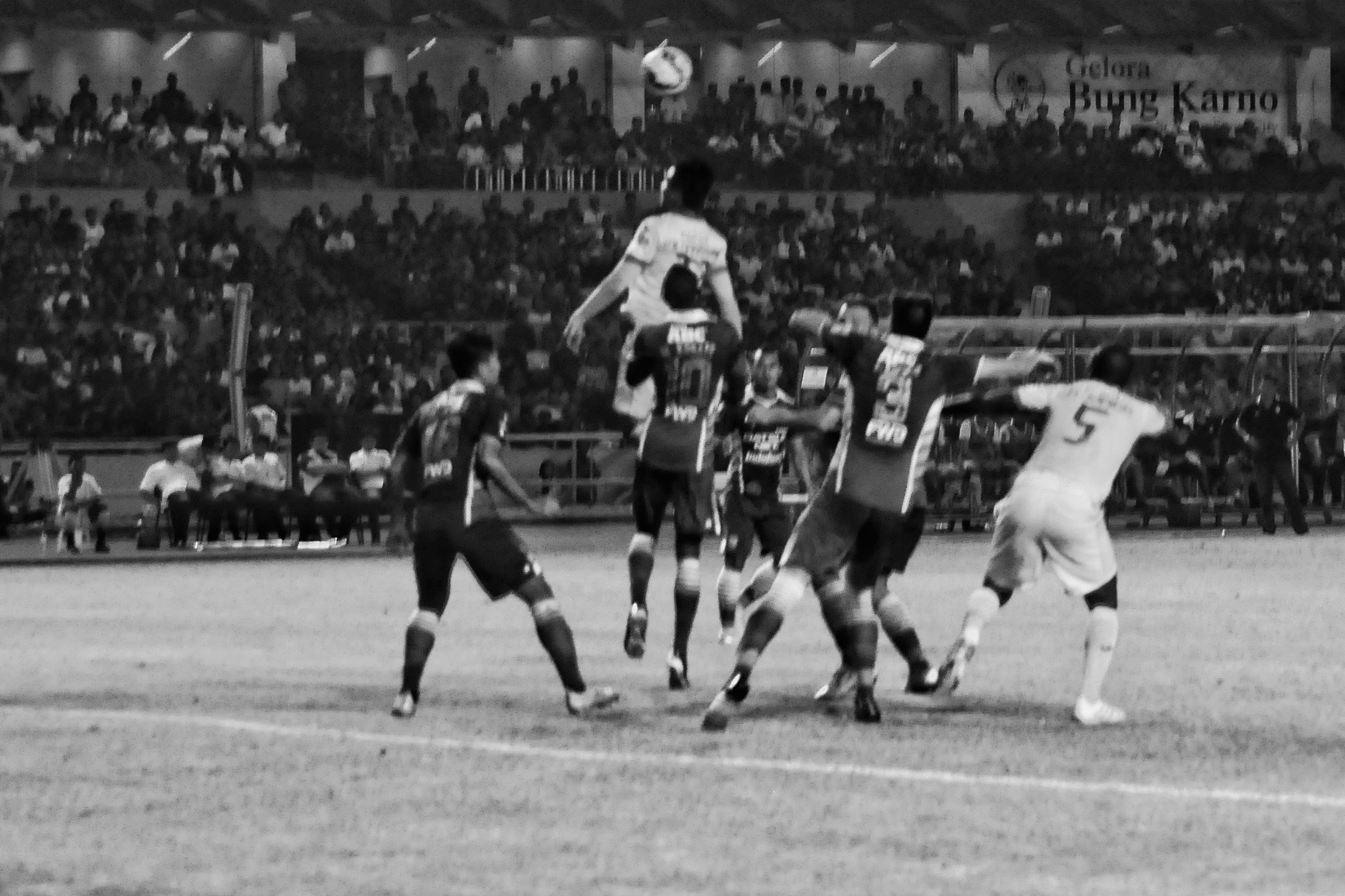 DSC_0018-01.jpeg