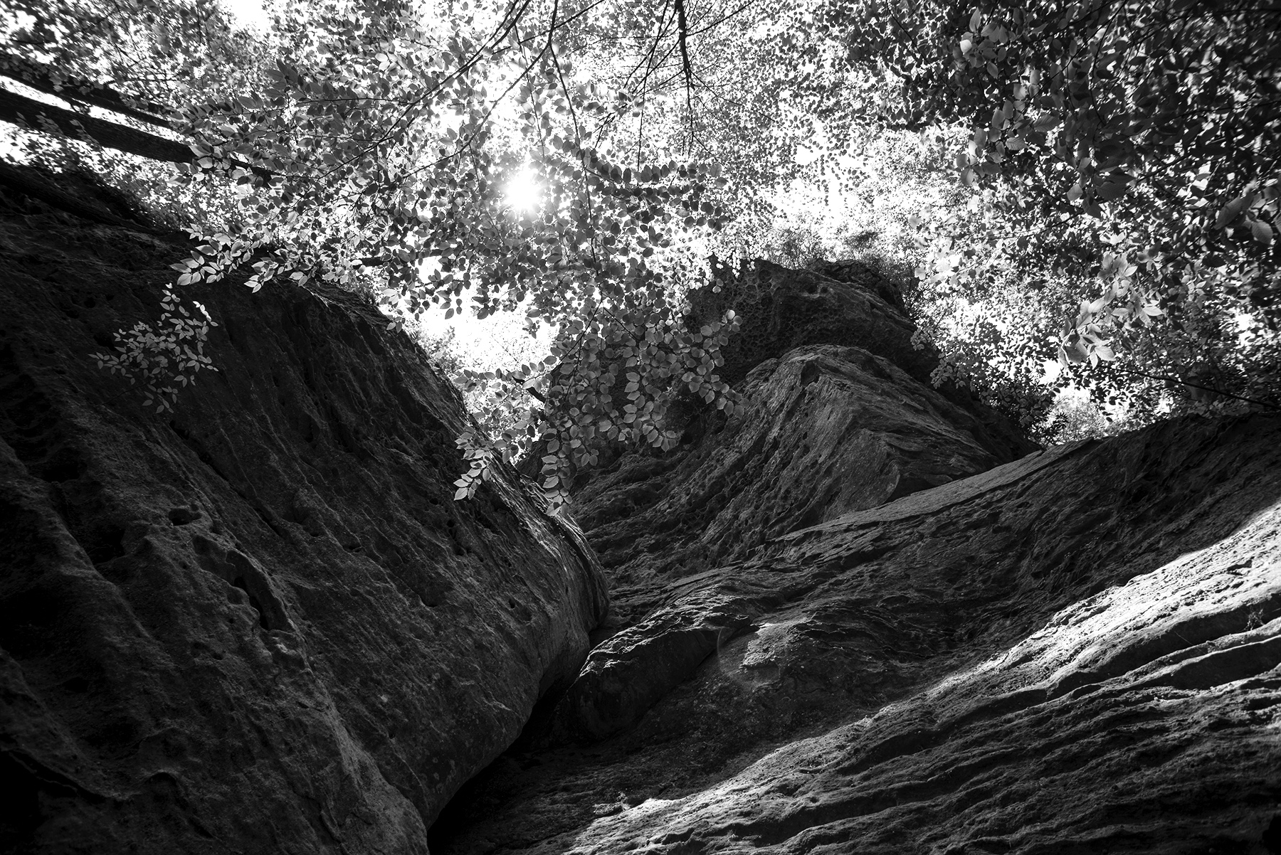 gorge return 3 copy.jpg