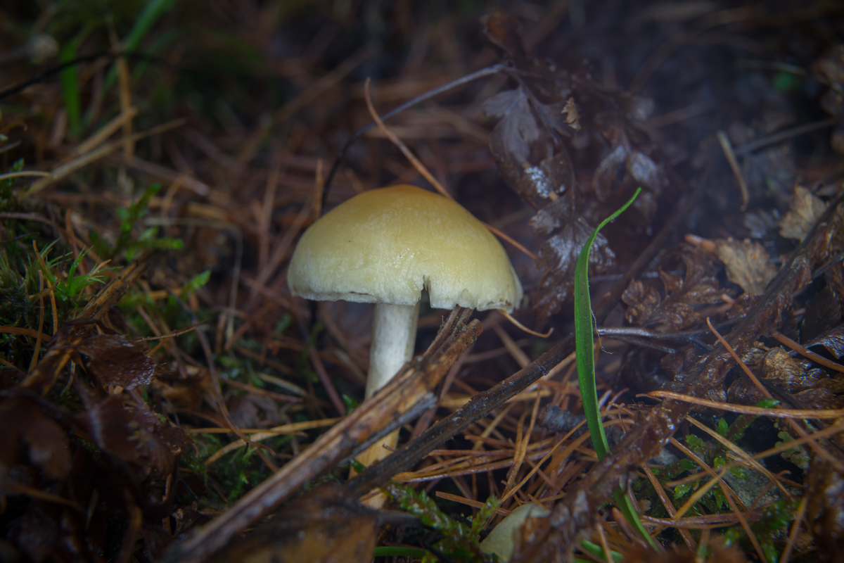 DSC05887.jpg