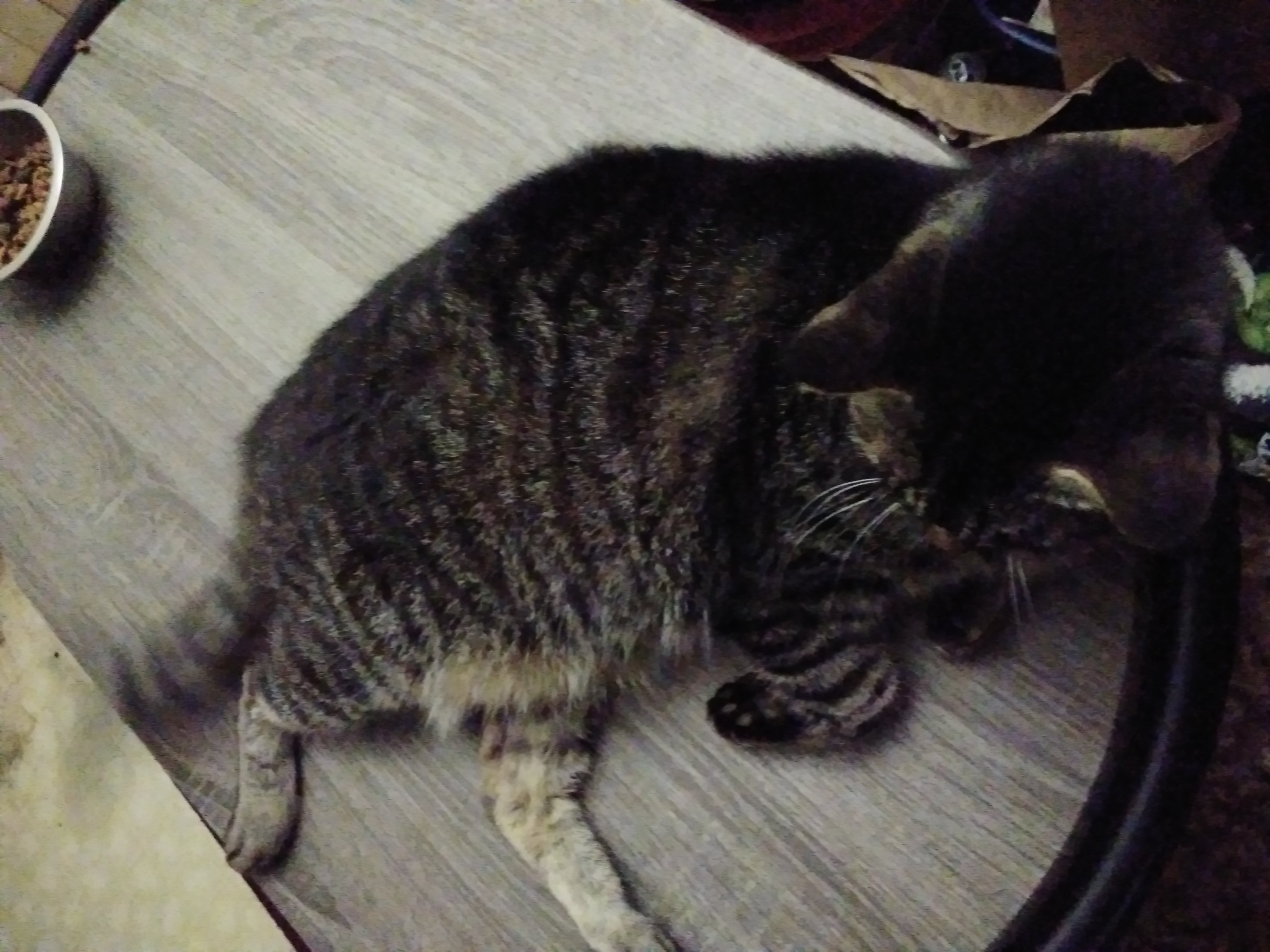 20200529_223151.jpg