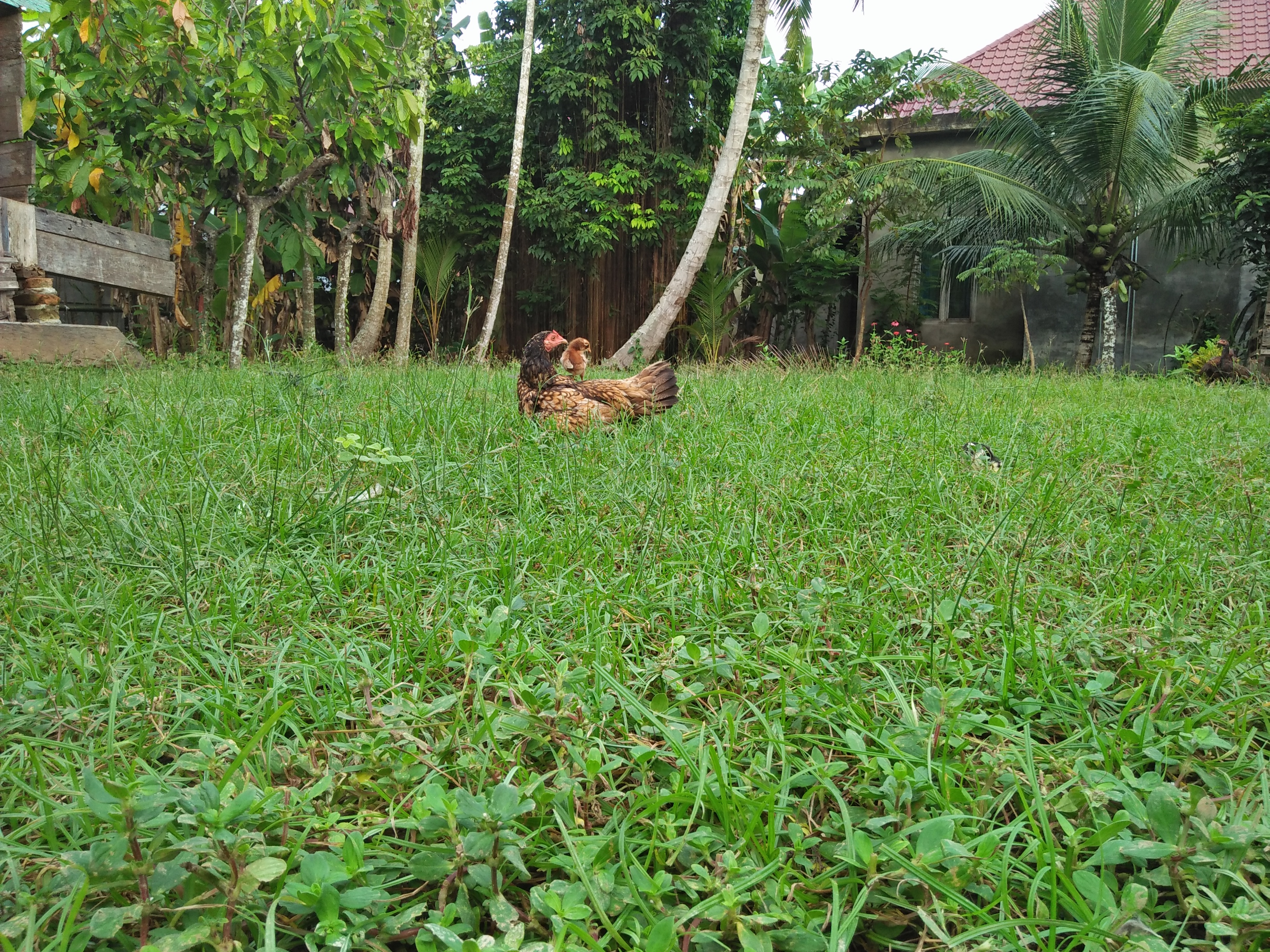 IMG20220106170818.jpg