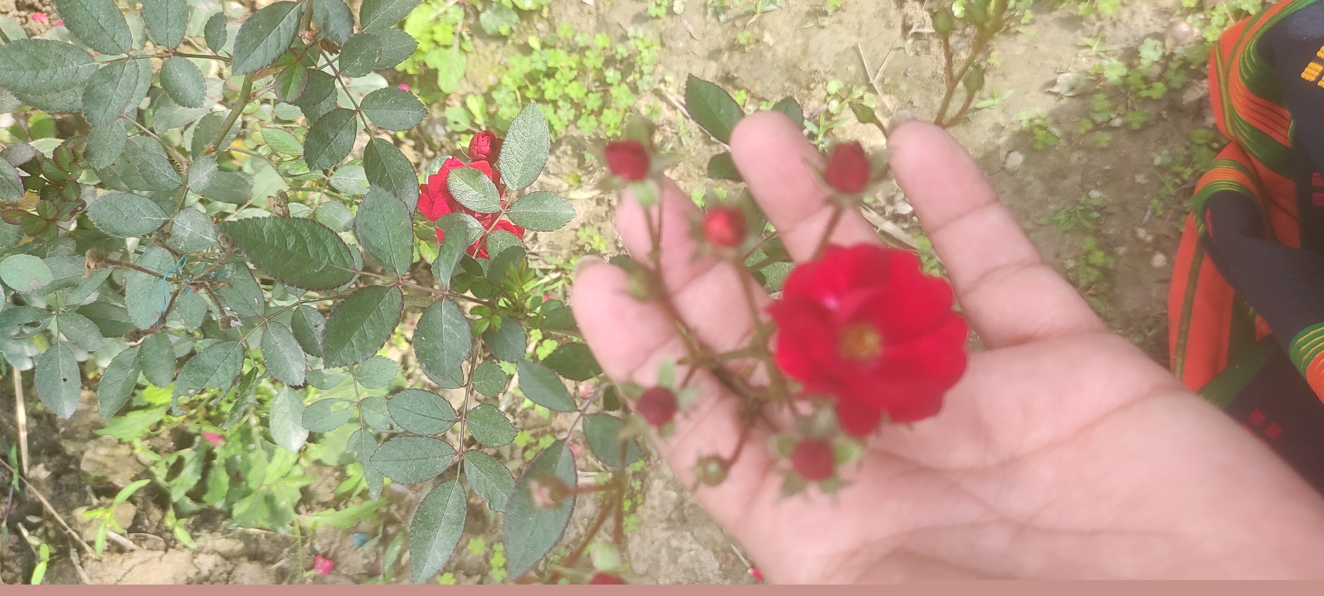 IMG_20220118_135011.jpg