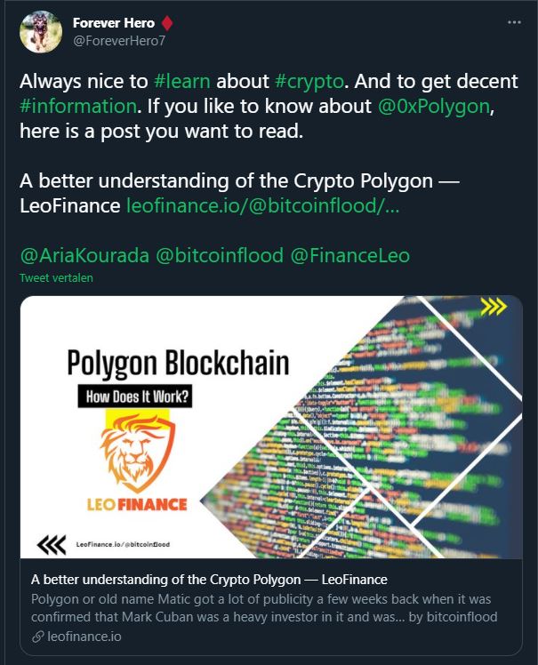 bitcoinflood polygon.JPG