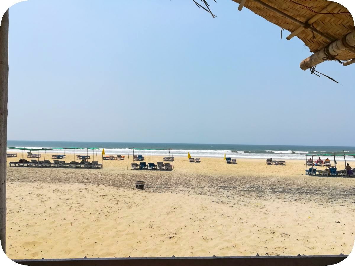 IMG_20190320_125849.jpg