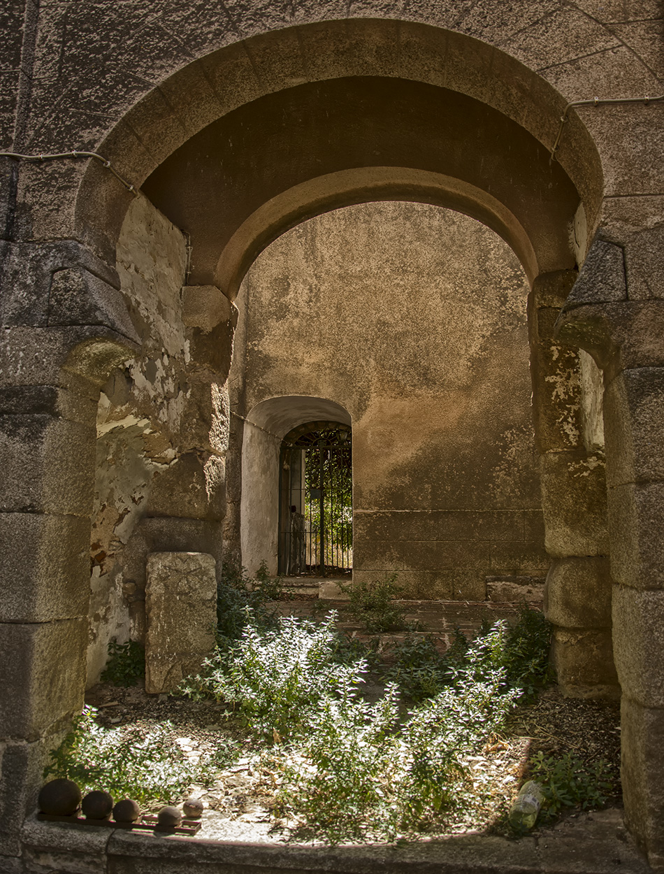 DSC_4353.jpg
