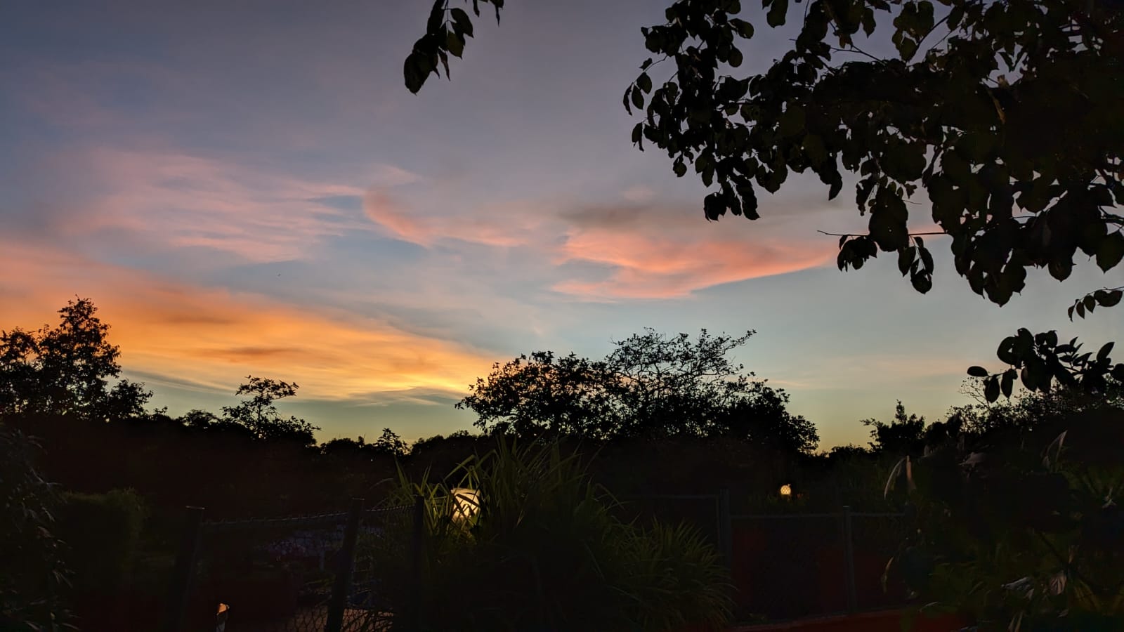 WhatsApp Image 2023-08-19 at 02.37.50 (2).jpeg